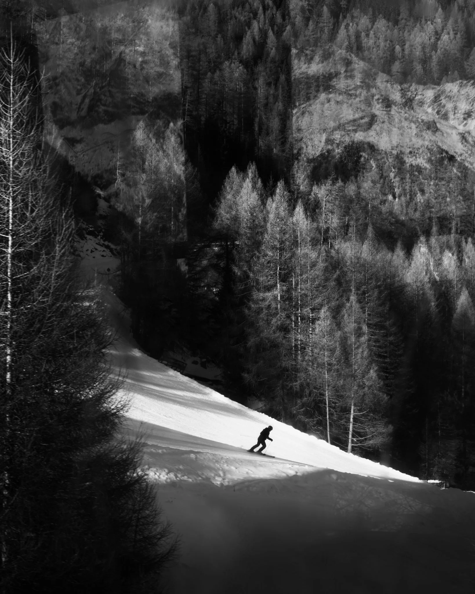 DSC02833-Enhanced-NR 3.JPG