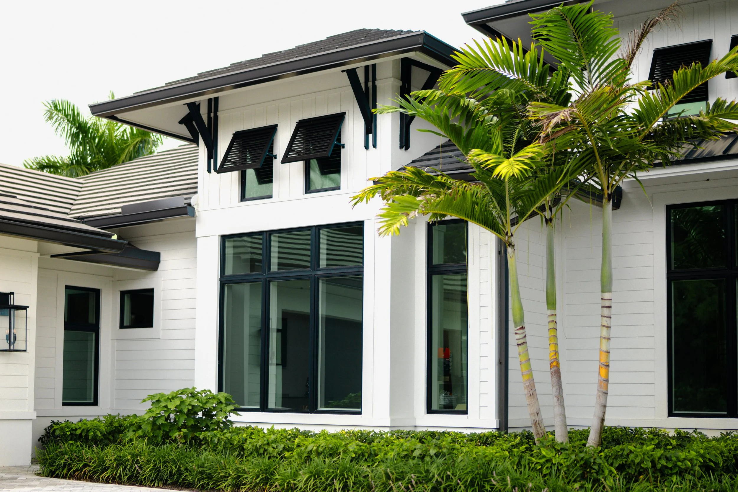 Modern white house with black window frames, large windows, two palm trees in the front yard, and green shrubs at the base.