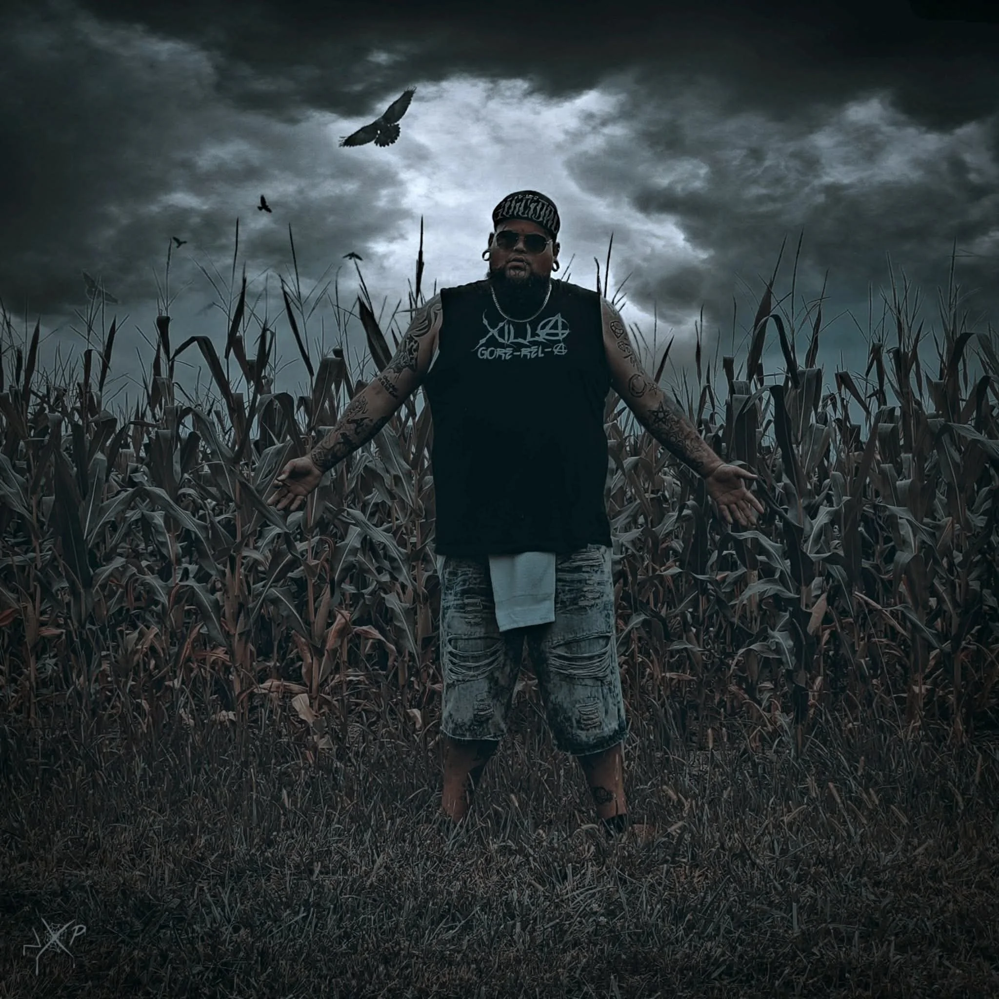 From Warm Springs to the Underground: The Rise of XILLA GORE-REL-A