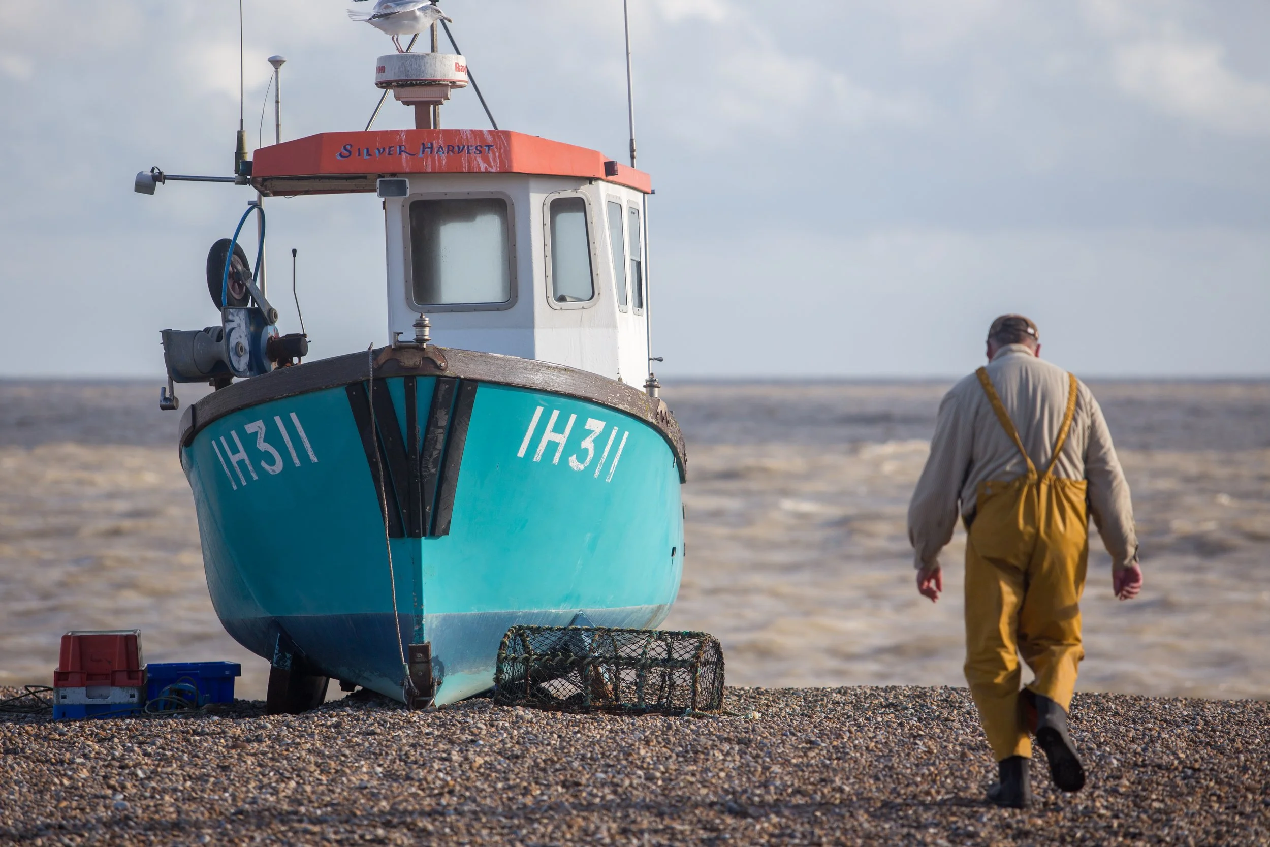 A person in yellow waterproof pants and a beige jacket walking on a pebble beach towards a blue fishing boat with the sharptide in the background.