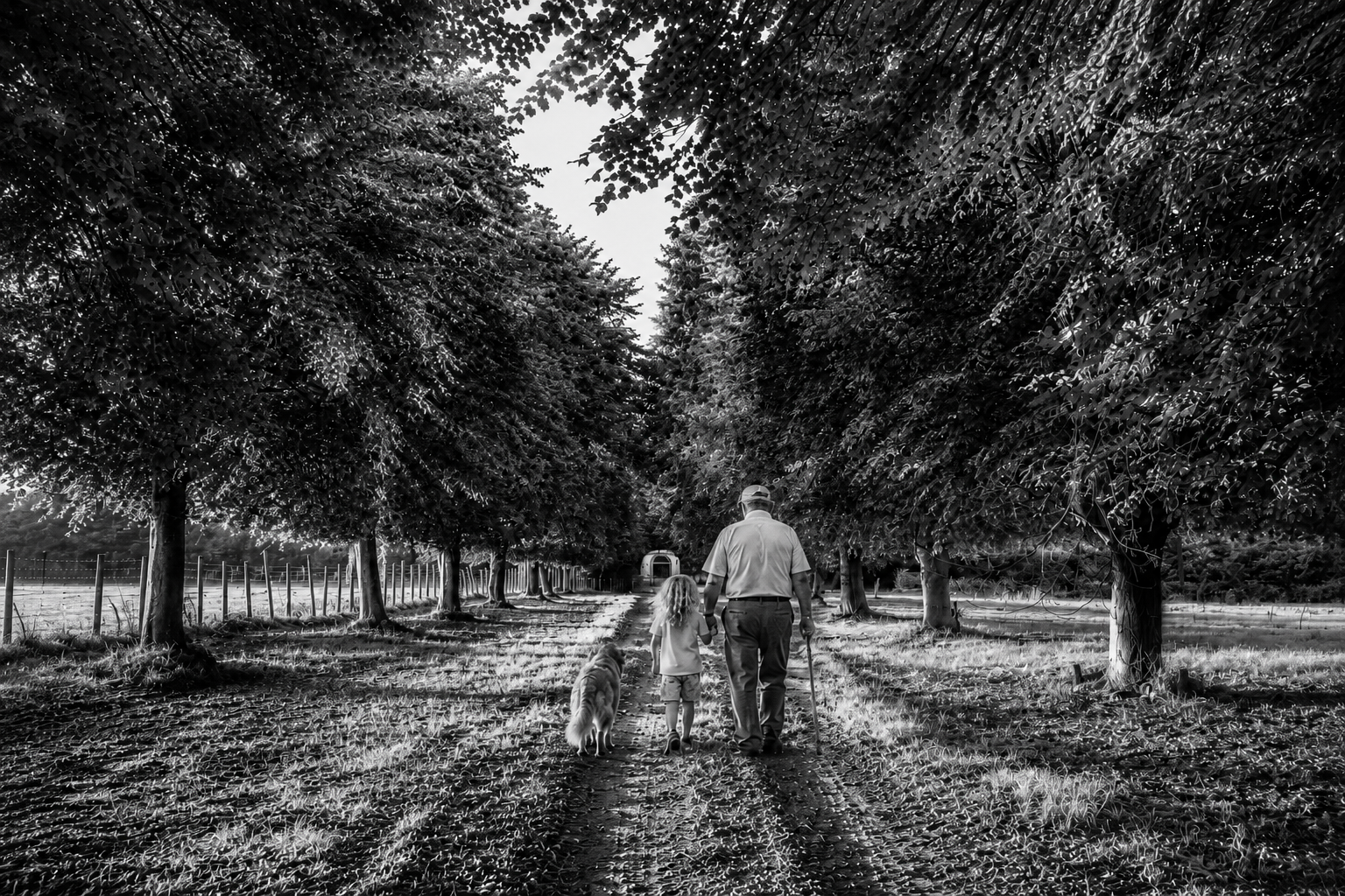 Killerton: My Childhood Theme Park