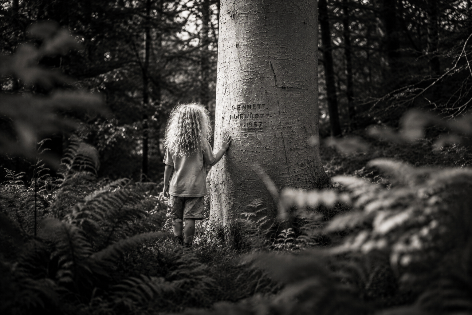 The Tree That Waited