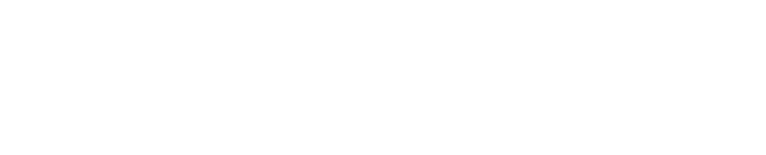 Genealogy Journal