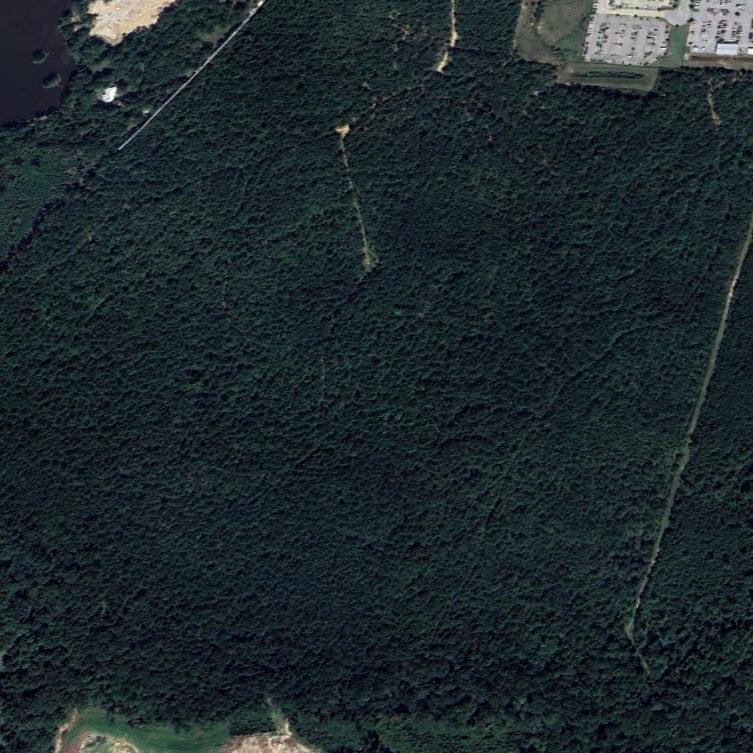 A dense forest with a few visible trails and a park or residential area at the top right corner.