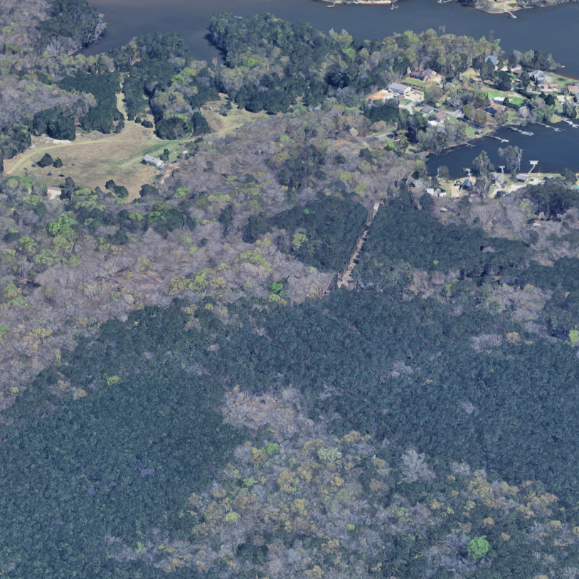 Aerial view of a dense forested area with some residential homes and a river running alongside the trees.