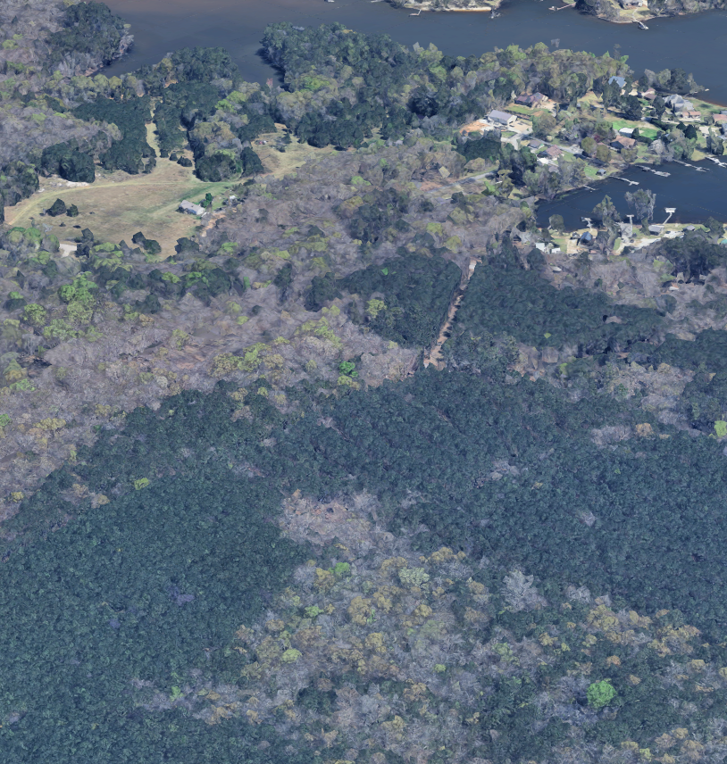 Aerial view of a lakeside area with dense trees, residential houses near the water, and boat docks along the shoreline.