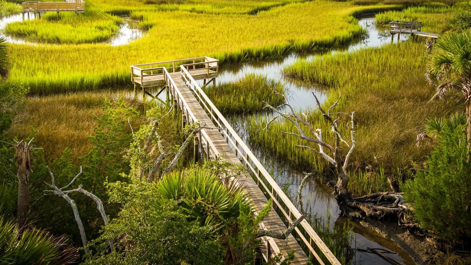 A wooden boardwalk through a lush wetland with tall grasses, some trees, and tranquil water reflecting the surroundings.
