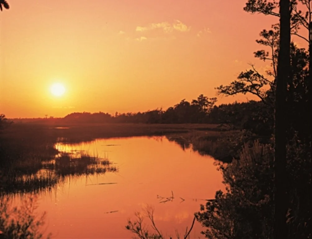 Sunset over a winding river with trees and vegetation on the riverbank in a natural landscape.