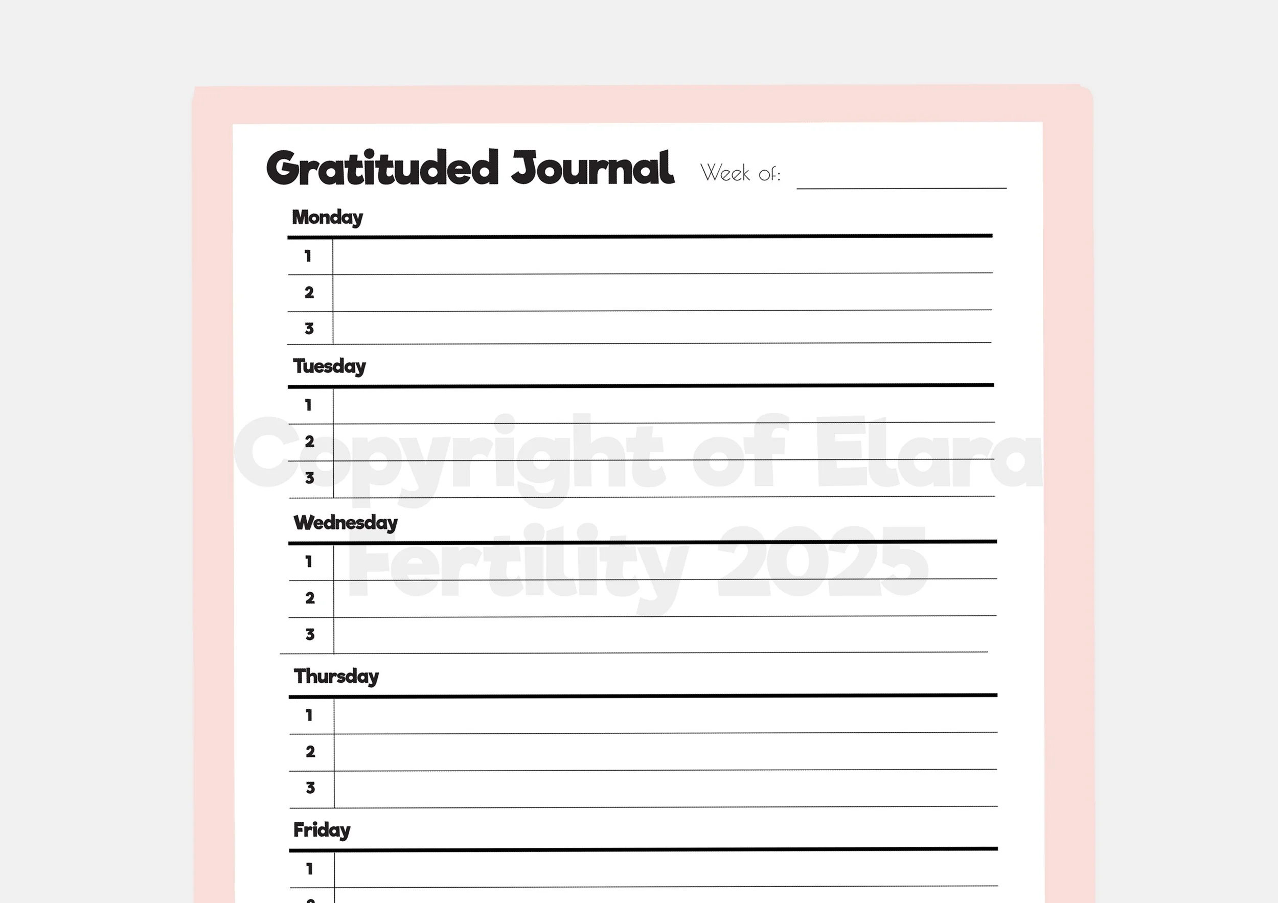 gratitude journal 1.jpg