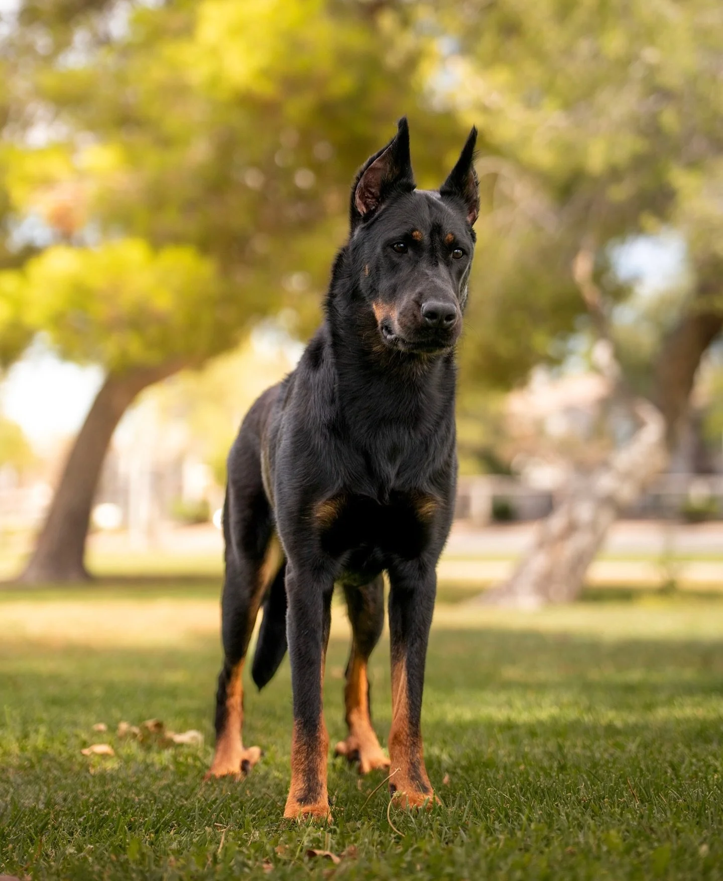 The many faces of Dynamic 😆 maybe we'll get lucky another day where she looks at the camera with her mouth closed 🫣