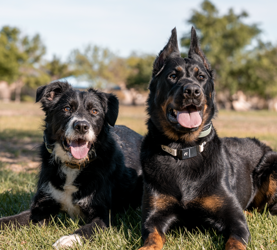 Screenshot 2026-01-01 at 6.25.29 PM.png