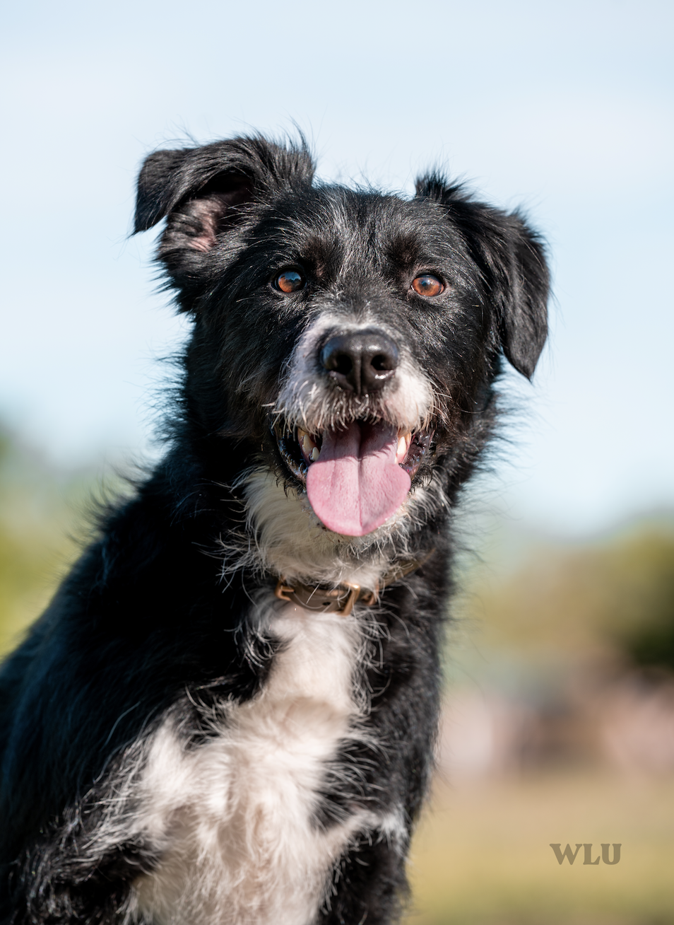 Screenshot 2026-01-01 at 6.25.16 PM.png