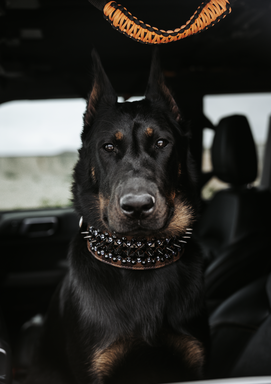 Screenshot 2026-01-01 at 6.22.46 PM.png