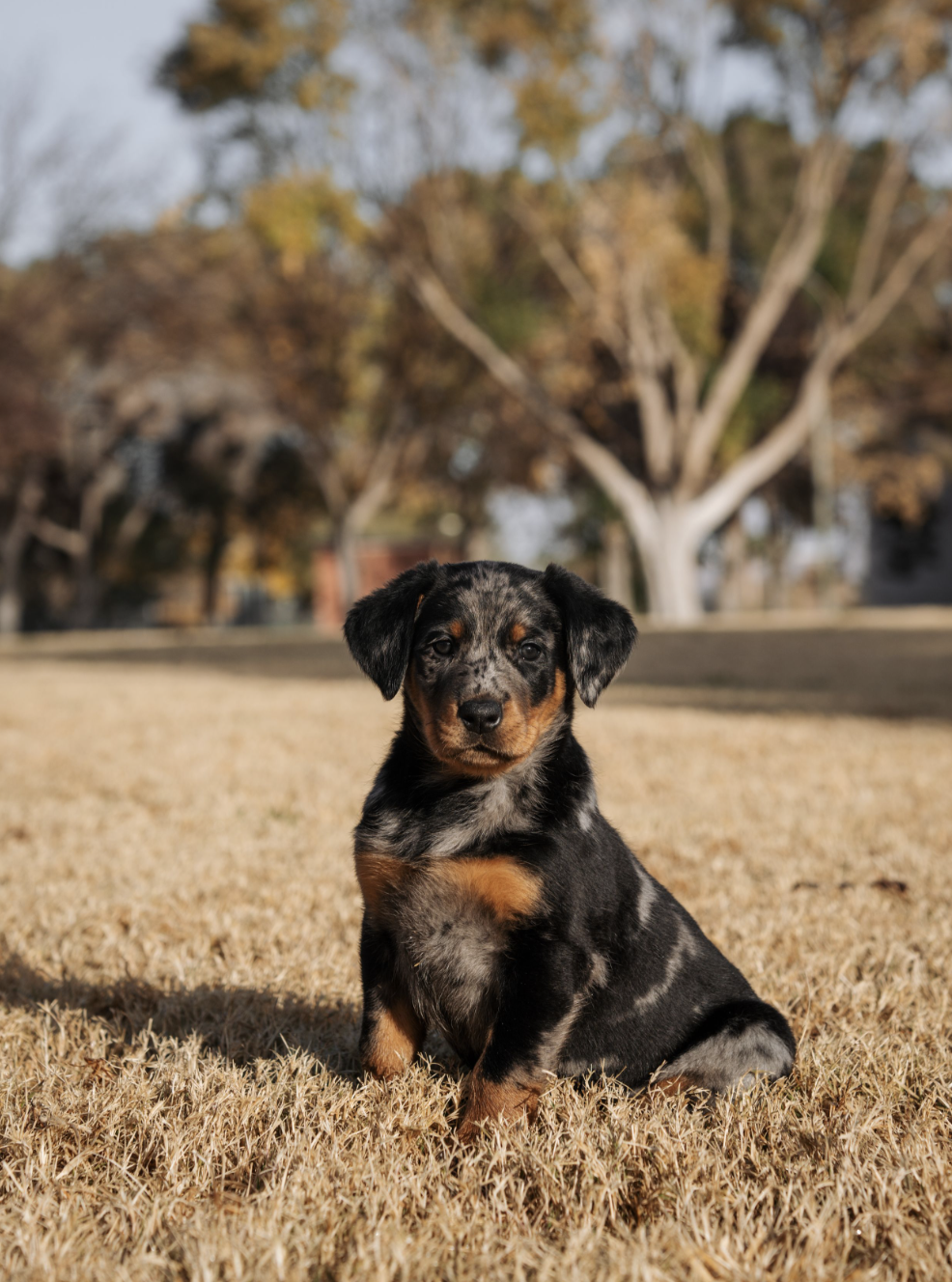 Screenshot 2025-10-21 at 8.29.43 PM.png