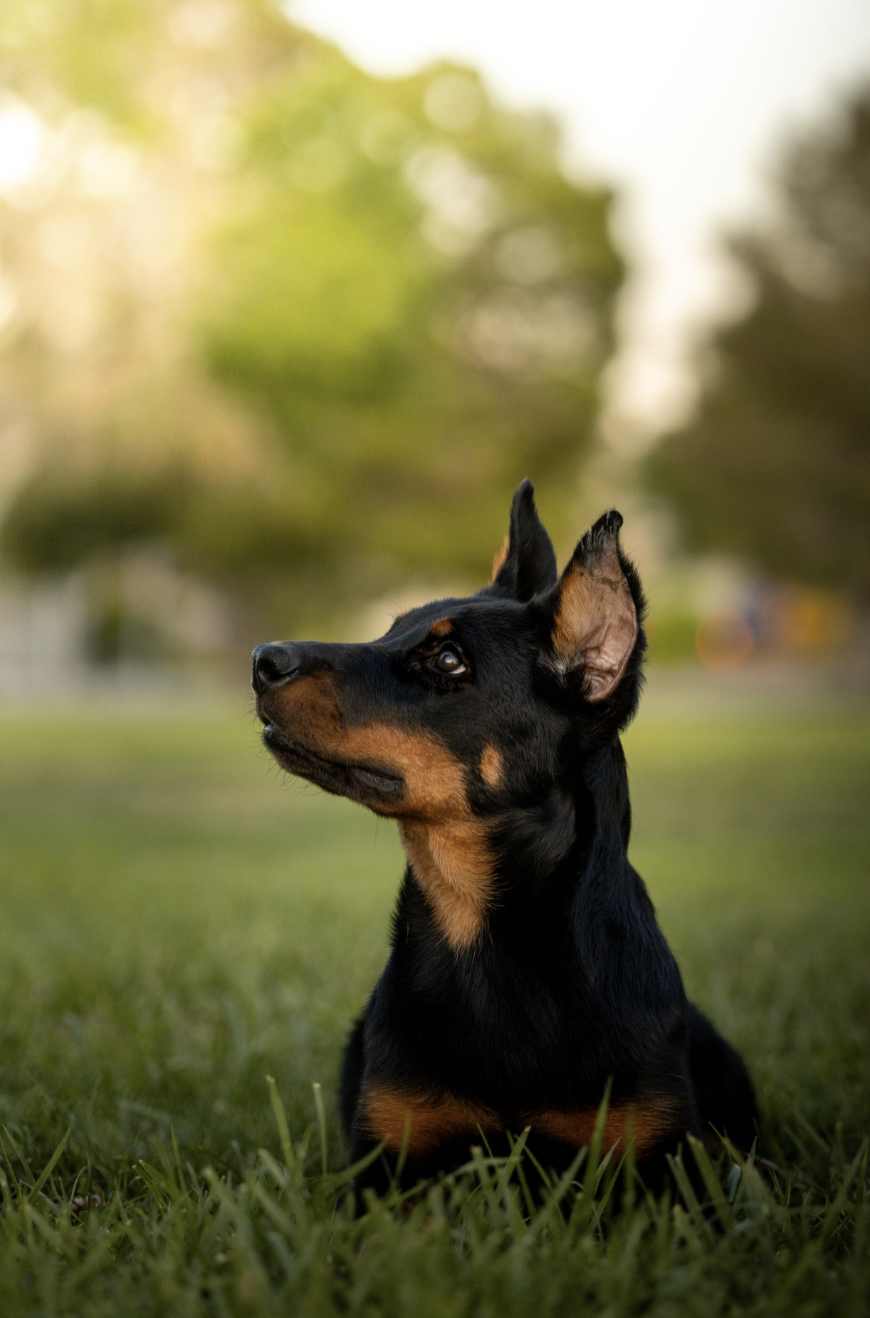 Screenshot 2025-10-21 at 8.39.20 PM.png