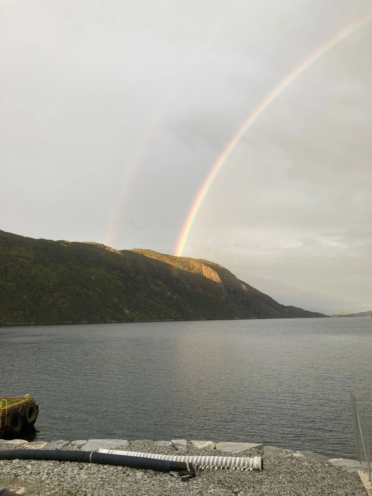 WhatsApp Image 2025-10-05 at 11.58.06.jpeg