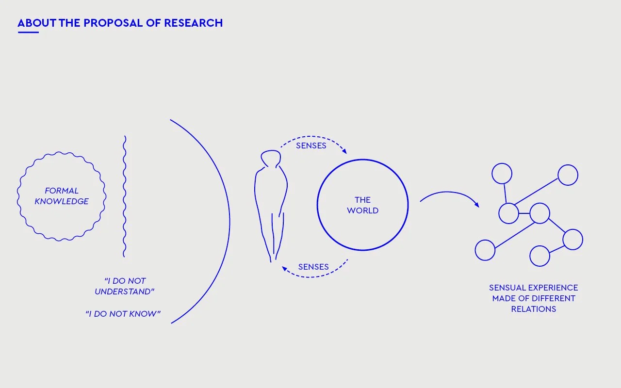 CURATORIAL_SENSORY3.jpg