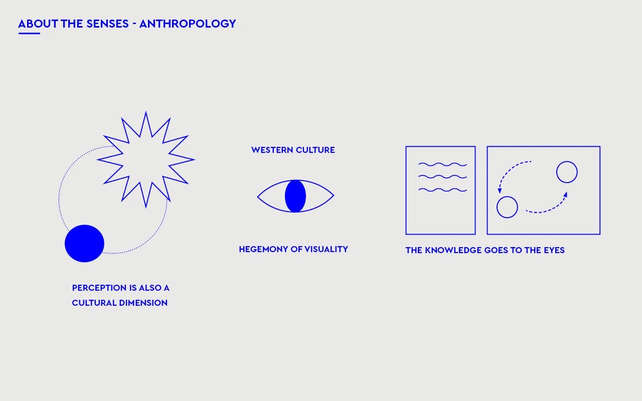 CURATORIAL_SENSORY7.jpg