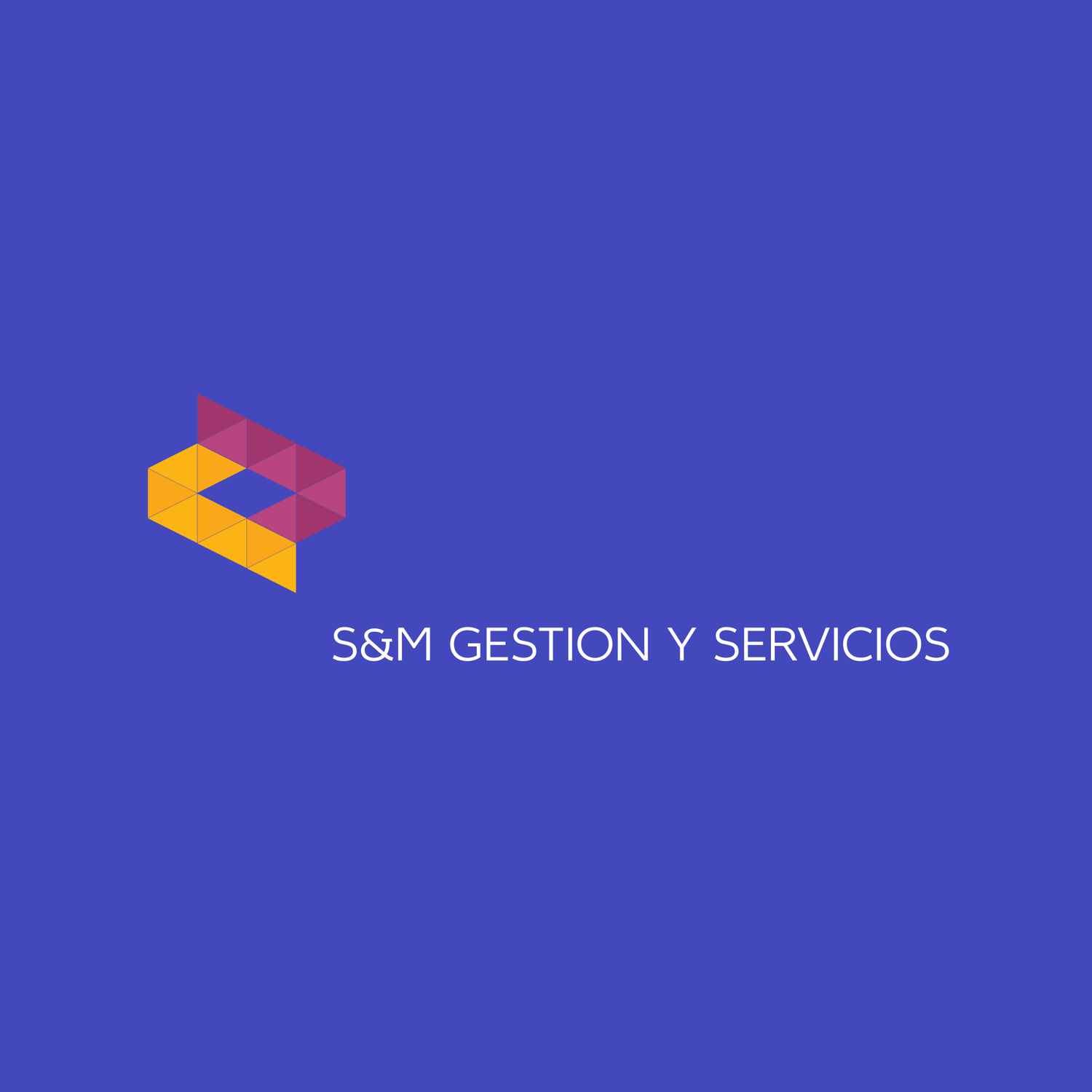 S&amp;M GESTION Y SERVICIOS