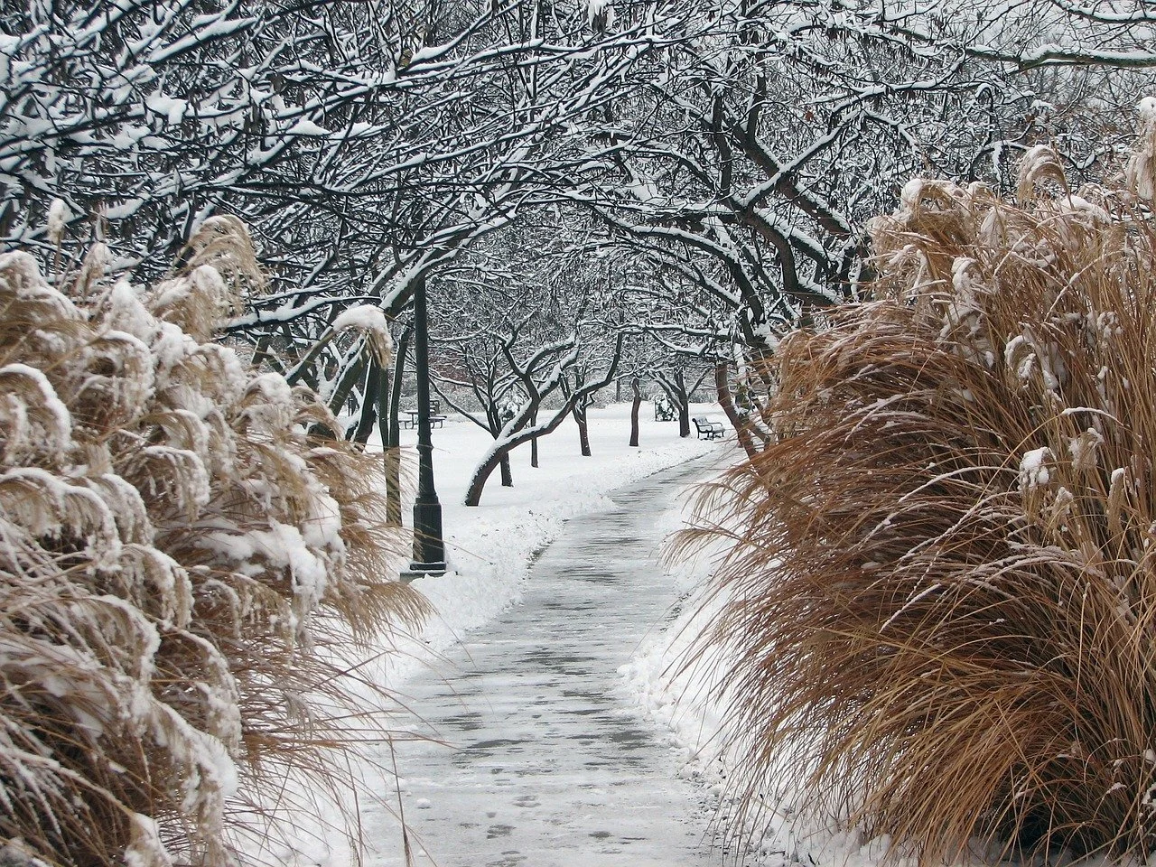 Your 2026 Practice Vision: How to Build a Business That Feels Sustainable, Ethical, and Aligned