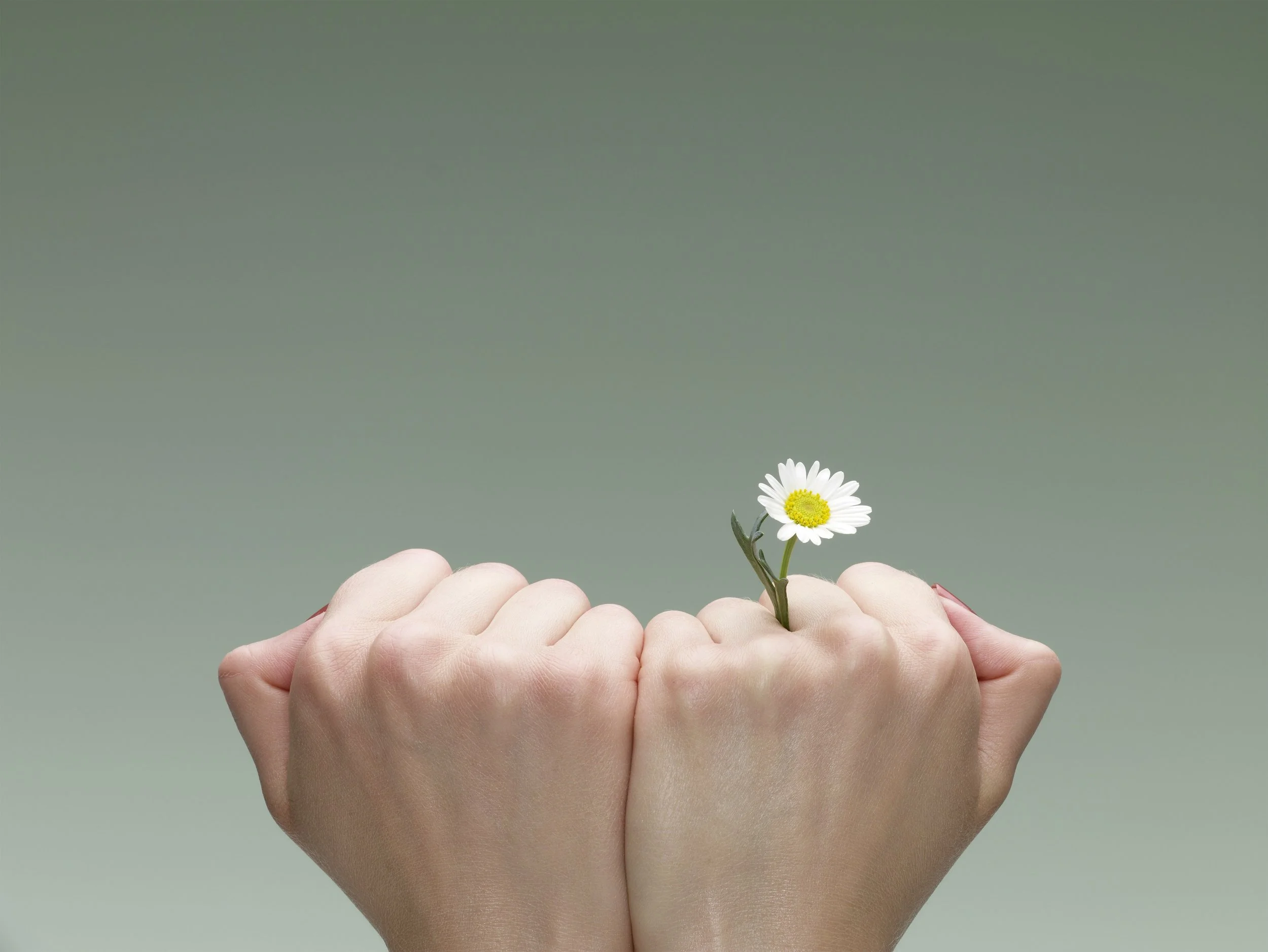 What Changes When You Finally Trust Your Clinical Instincts in Private Practice