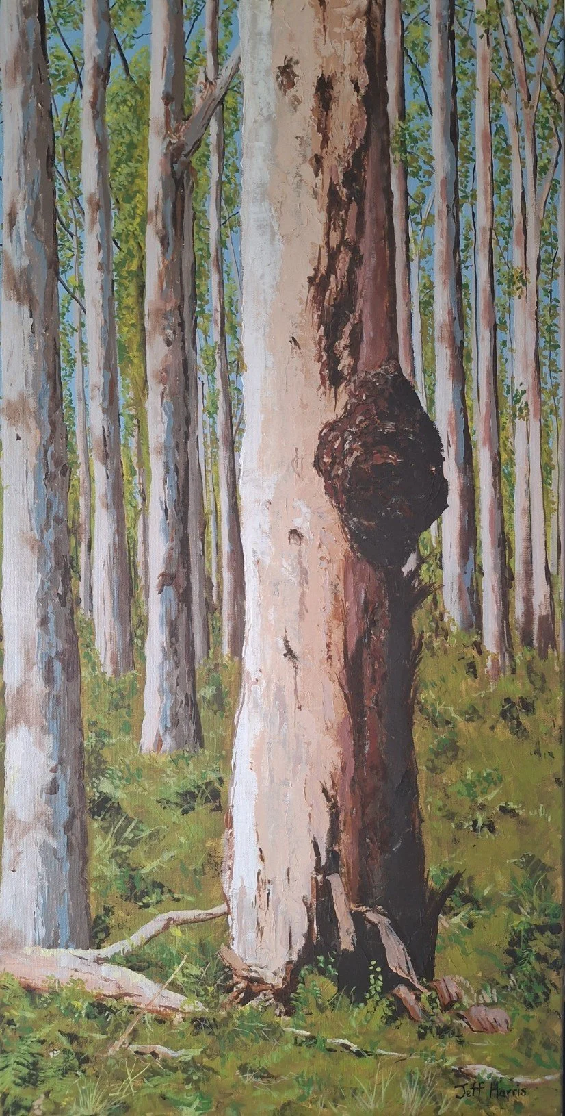 "Give it a Burl"
Acrylic on Canvas
40 x 80cm