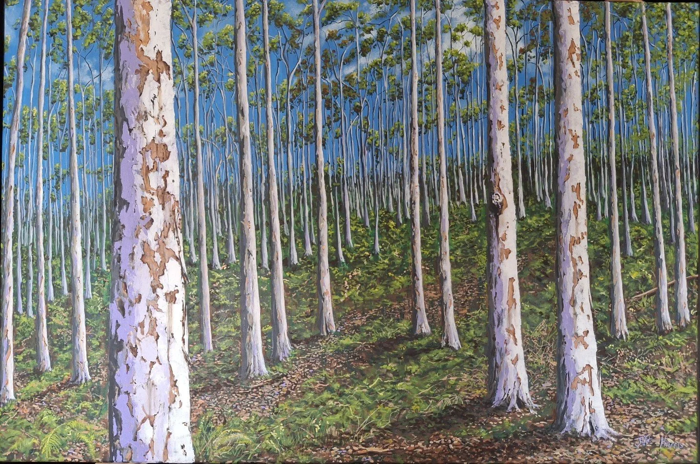 "Boranup Hill #3"
Acrylic on canvas 2026
90x60cm