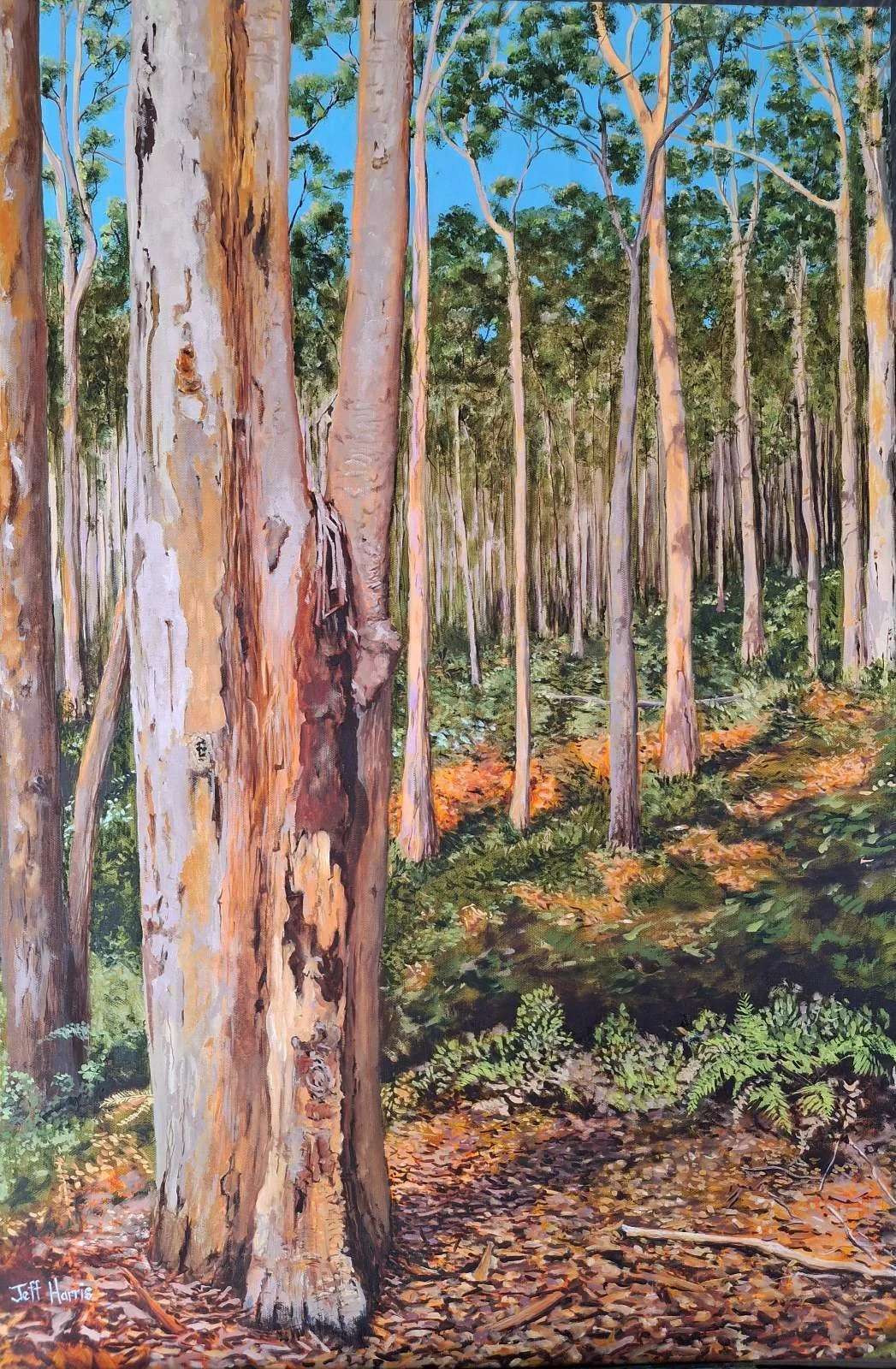 SOLD "Boranup Afternoon"
Oil on Canvas
60 x 90cm