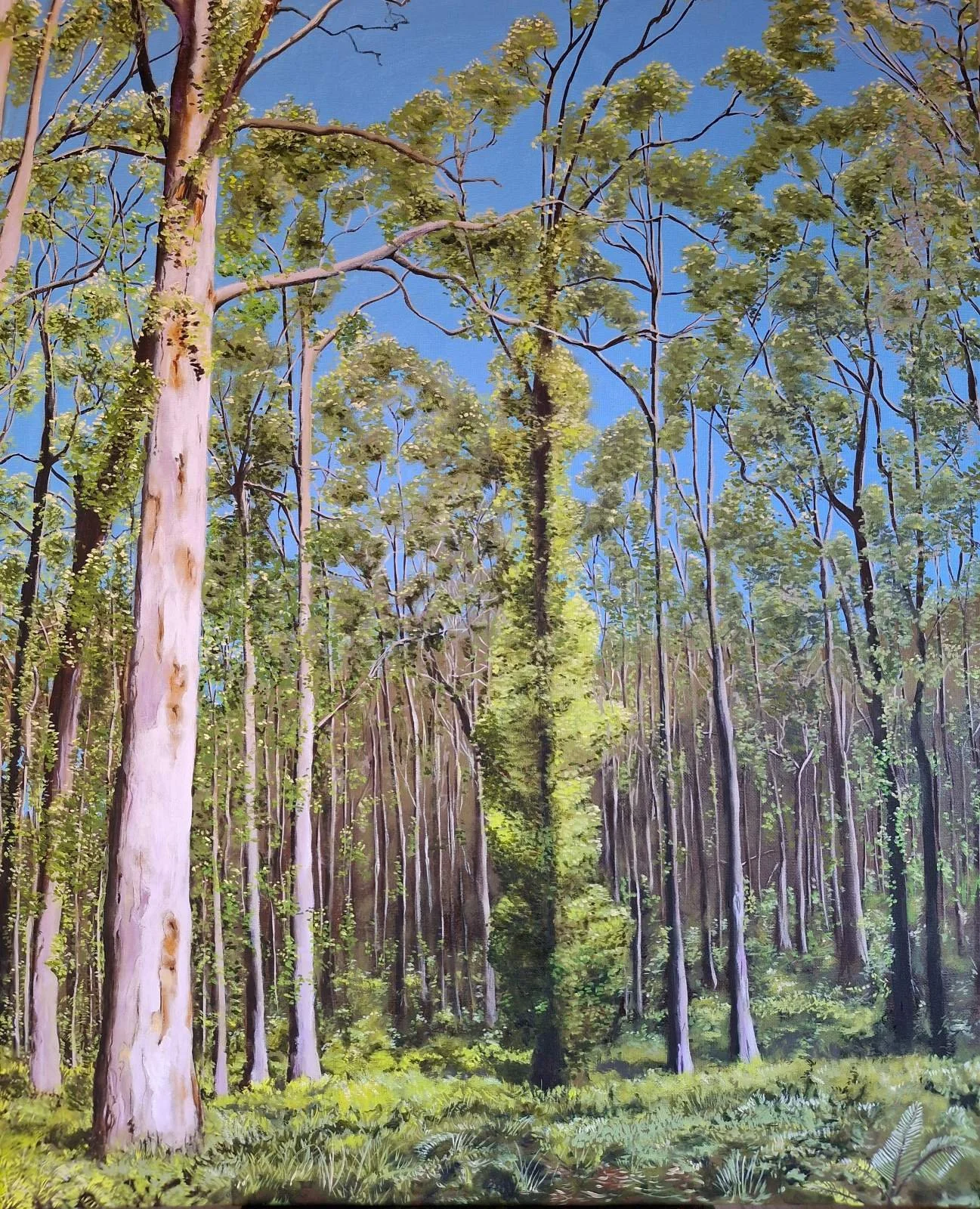 SOLD "Boranup New Life"
Oil on Canvas
60 x 75cm