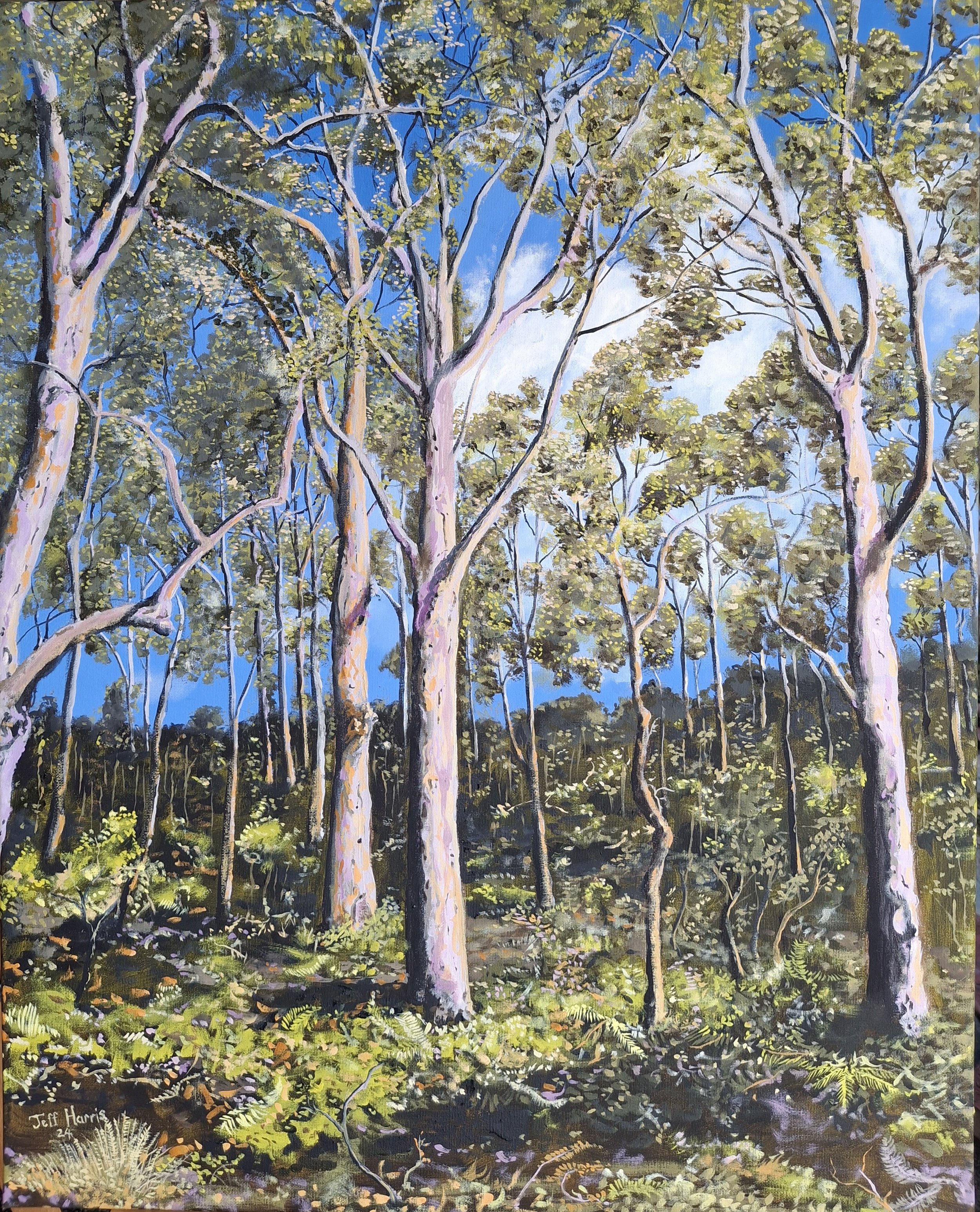 "Boranup #2"
Oil on Canvas
60cm x 70cm