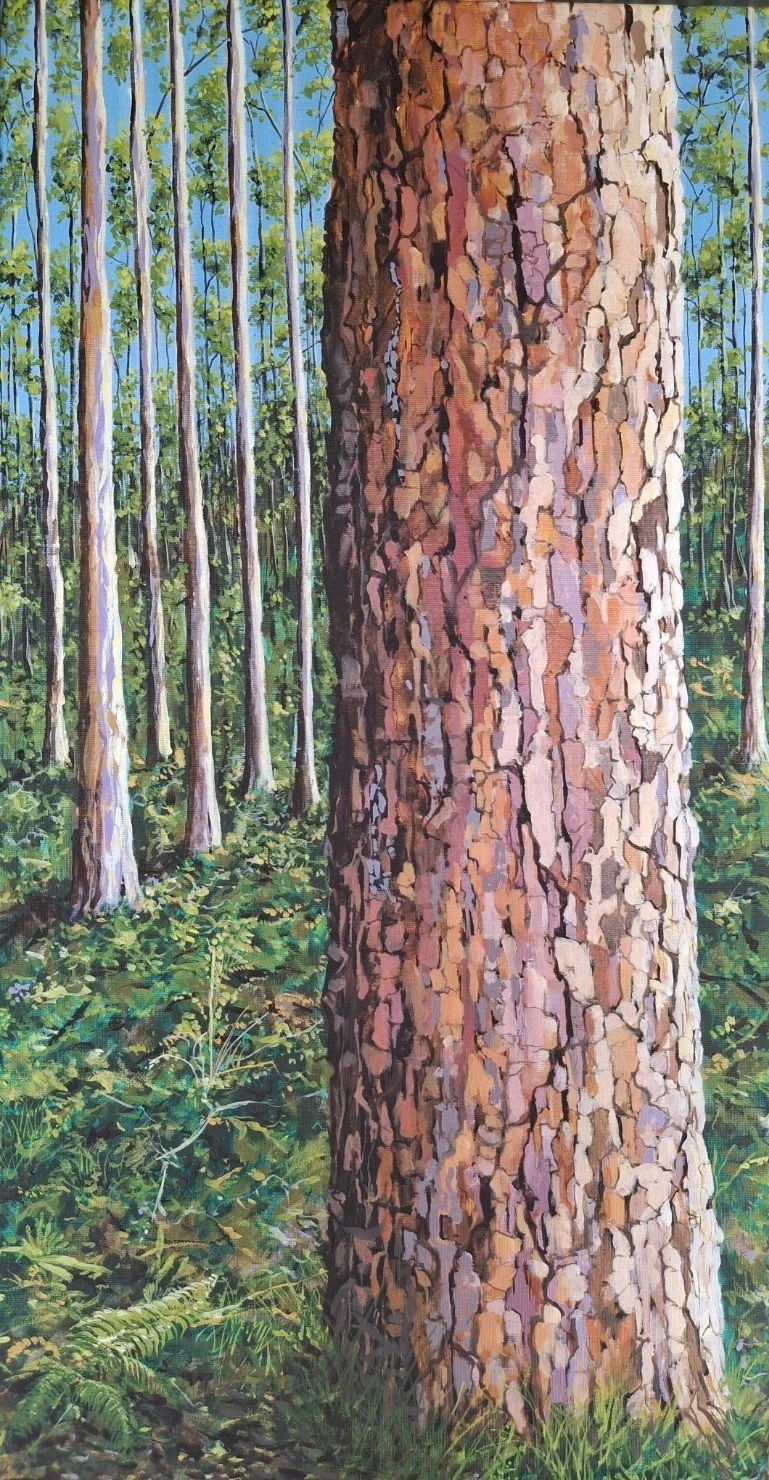 "Sheoak"
Acrylic on Canvas
40cm x 80cm