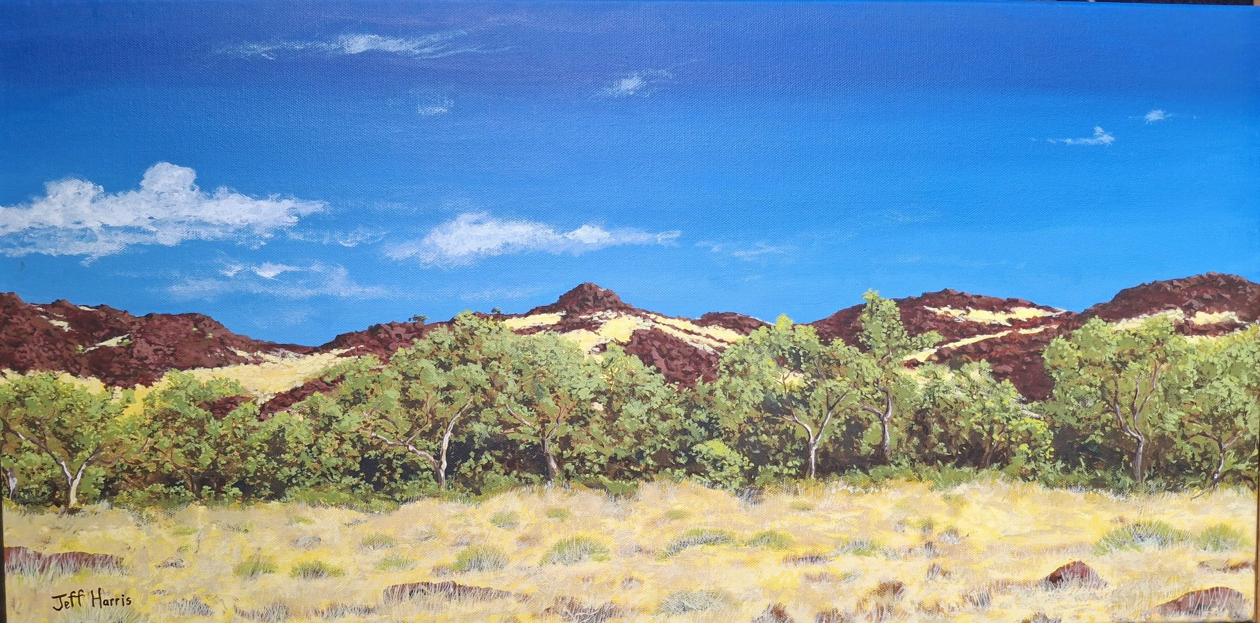 SOLD "Nganjarli Burrup"
Acrylic on canvas 2025
40cm x 80cm