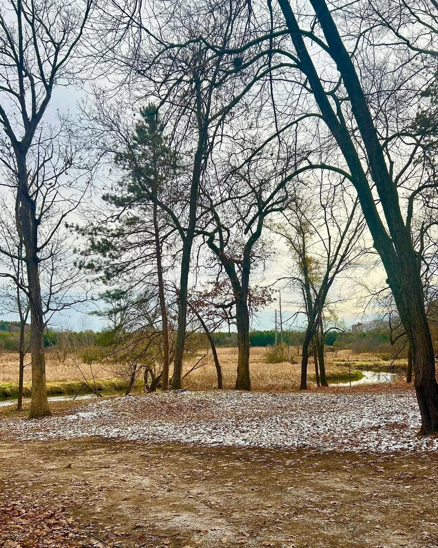 Bonnie Oaks holds not only an extraordinary artistic history, but also a deeply sacred one. This historic district is a site of profound archaeological significance. Long before its &ldquo;discovery&rdquo; in 1853 -when a Military Land Warrant grante