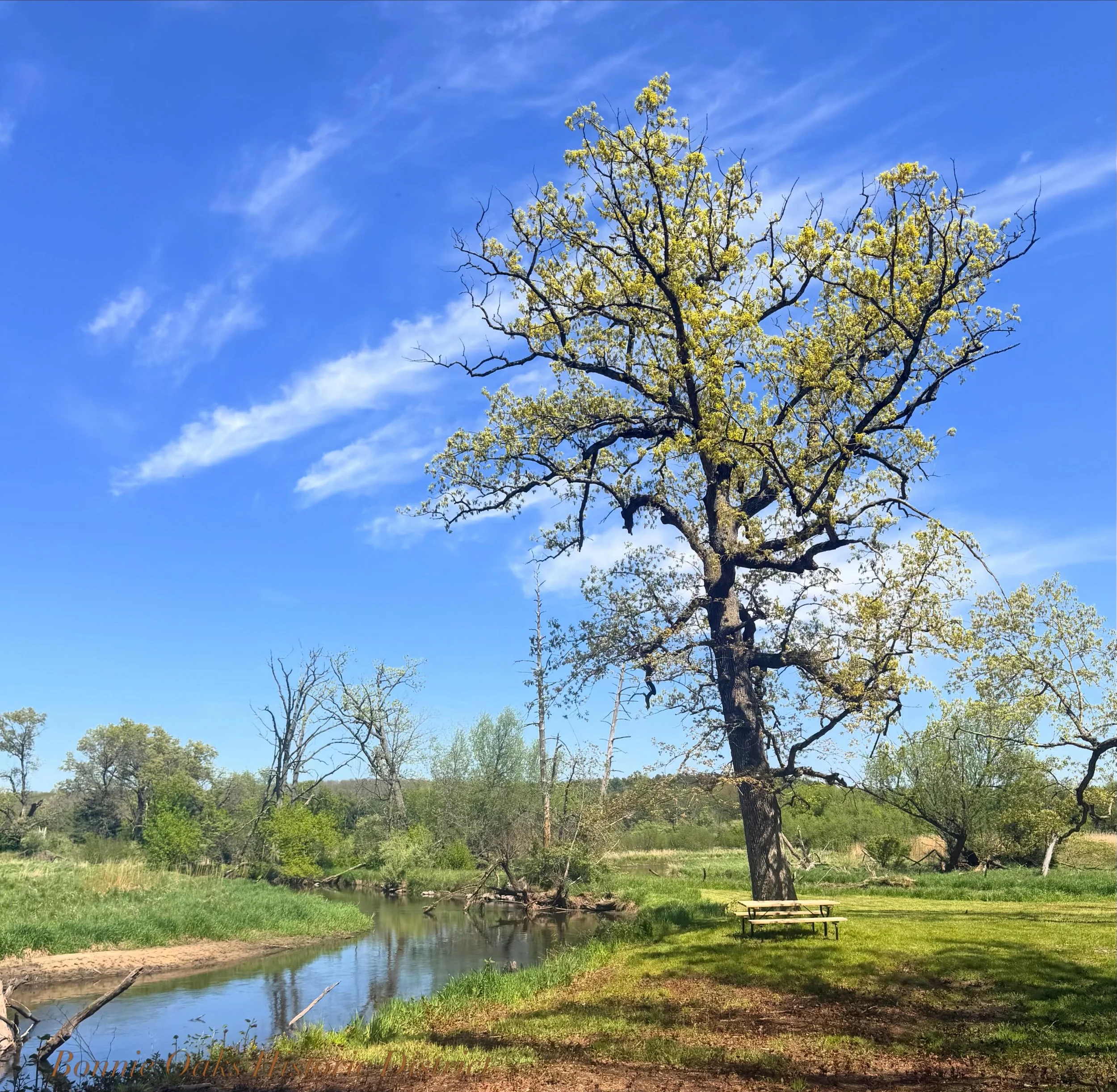 It&rsquo;s greening up around here and we&rsquo;re loving it! The Carpenter&rsquo;s Cottage or Log House could be your next destination. We&rsquo;re getting closer to summer vacation every day and would love to host your getaway. ☀️🛶🏡 Plan ahead an