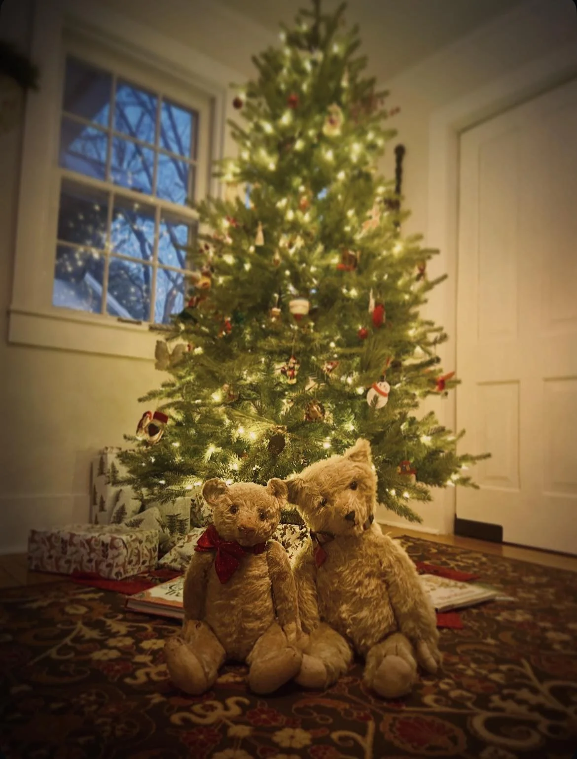 Bearry Christmas.jpg