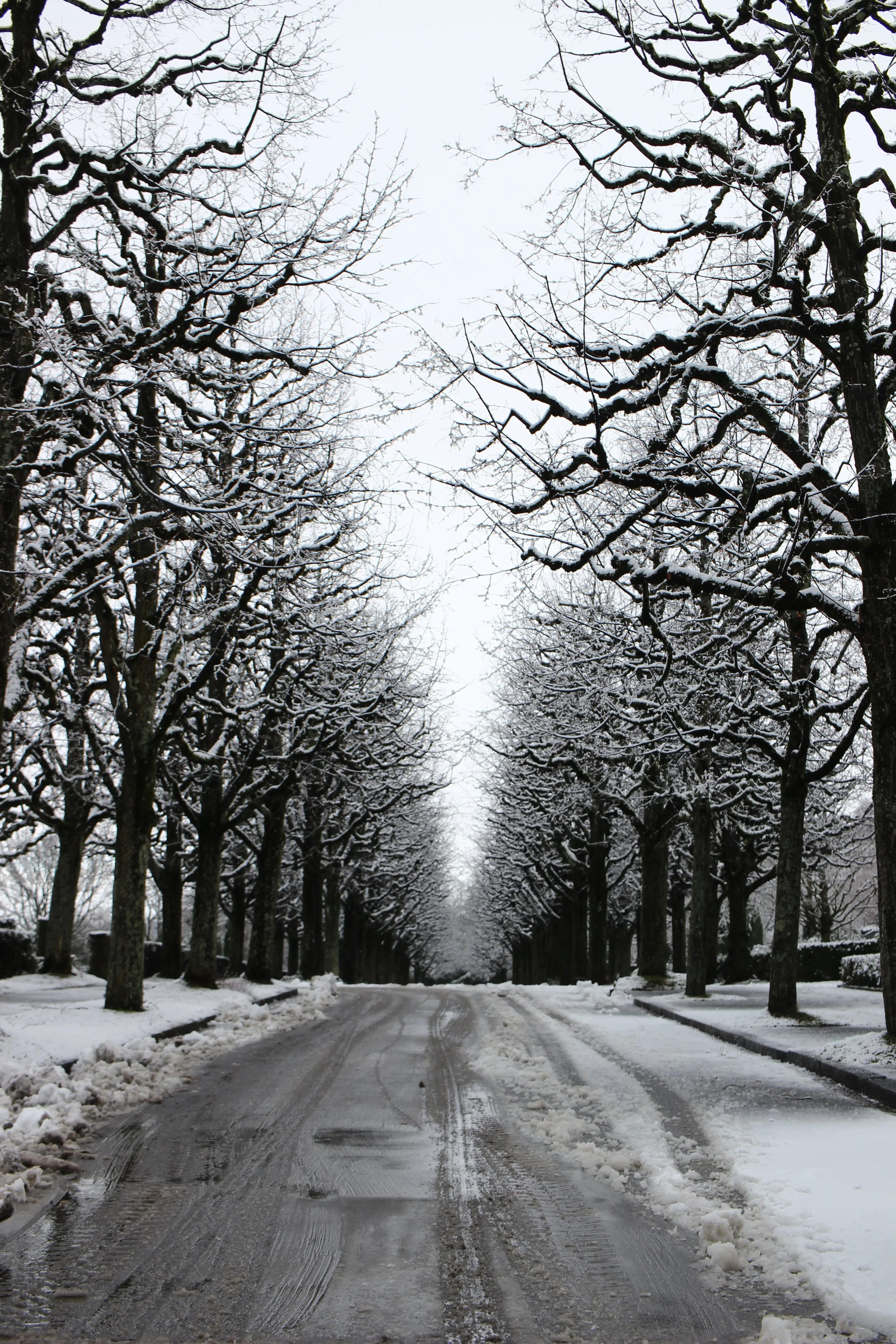 nouvelles photos 161.JPG