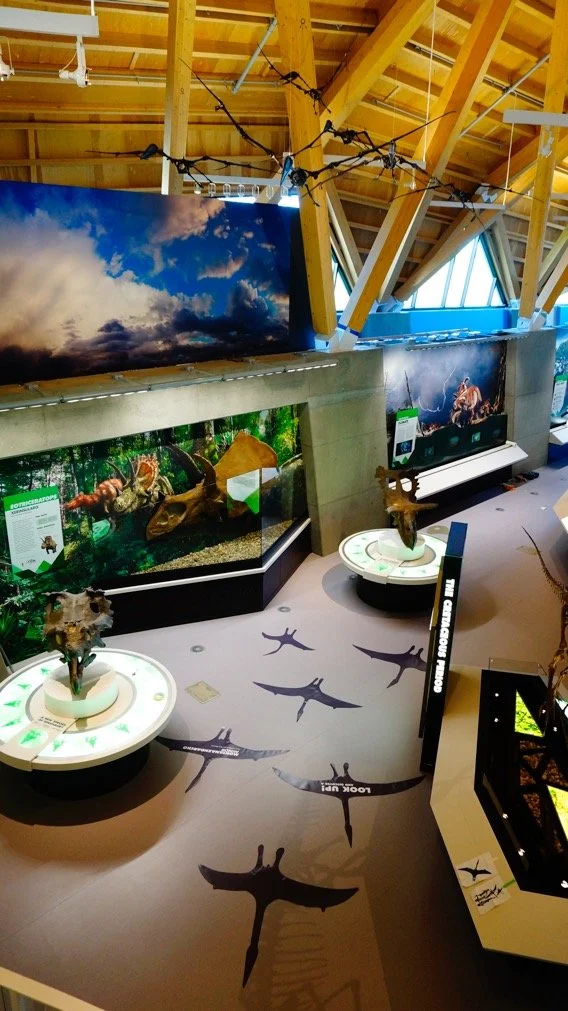 The wall, floor, and display graphics use coordinated materials like vinyl and rigid boards, ensuring a unified visual treatment that guides visitors through the exhibits with seamless integration.
Project: Dinosaur Museum - Alberta | Client: Kubik M