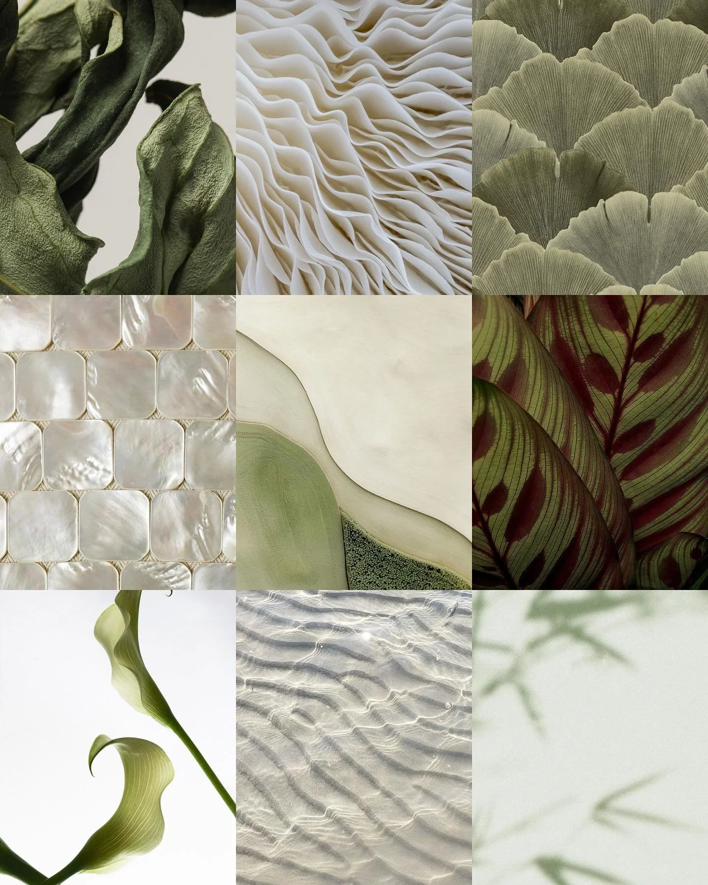 Midweek inspo courtesy of Mother Nature &mdash; a never-ending source of textures and colors we adore! 🦪🪲🌾

#inspiredbynature #decorinspo #nature #eventhire #eventstyling #weddingdecor