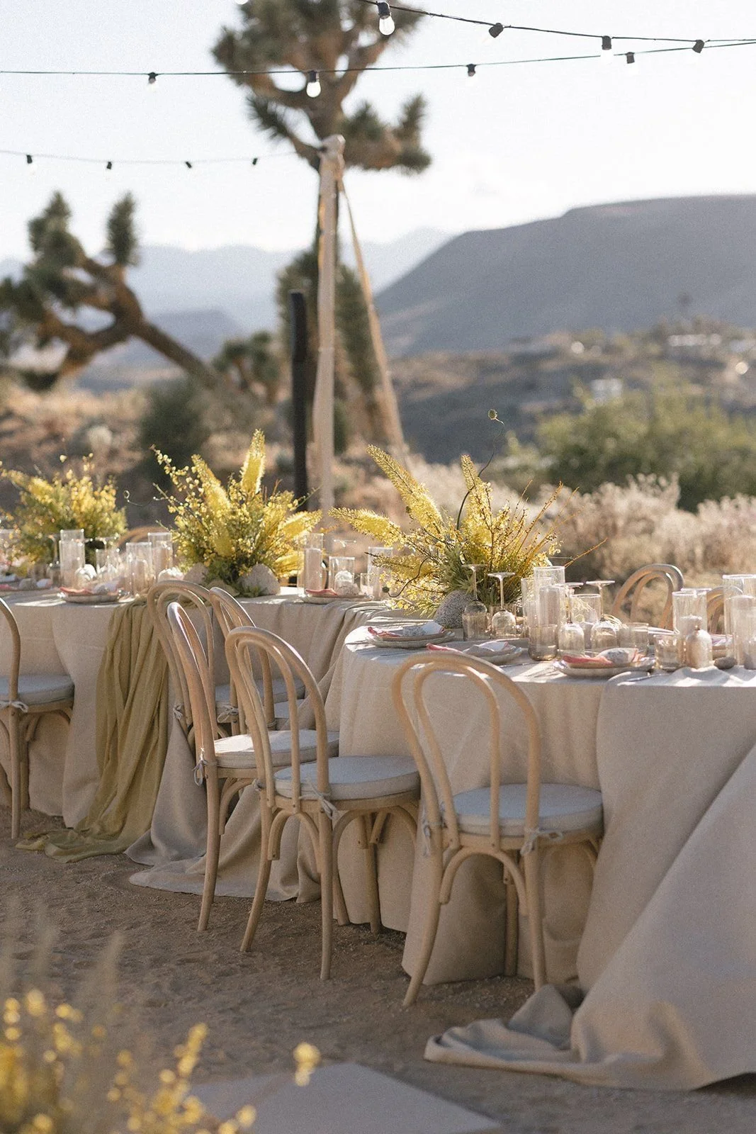 set and co event hiring styling cape town