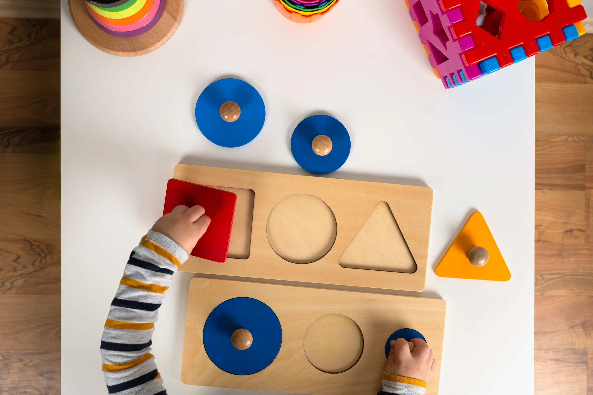 Developmental Milestones