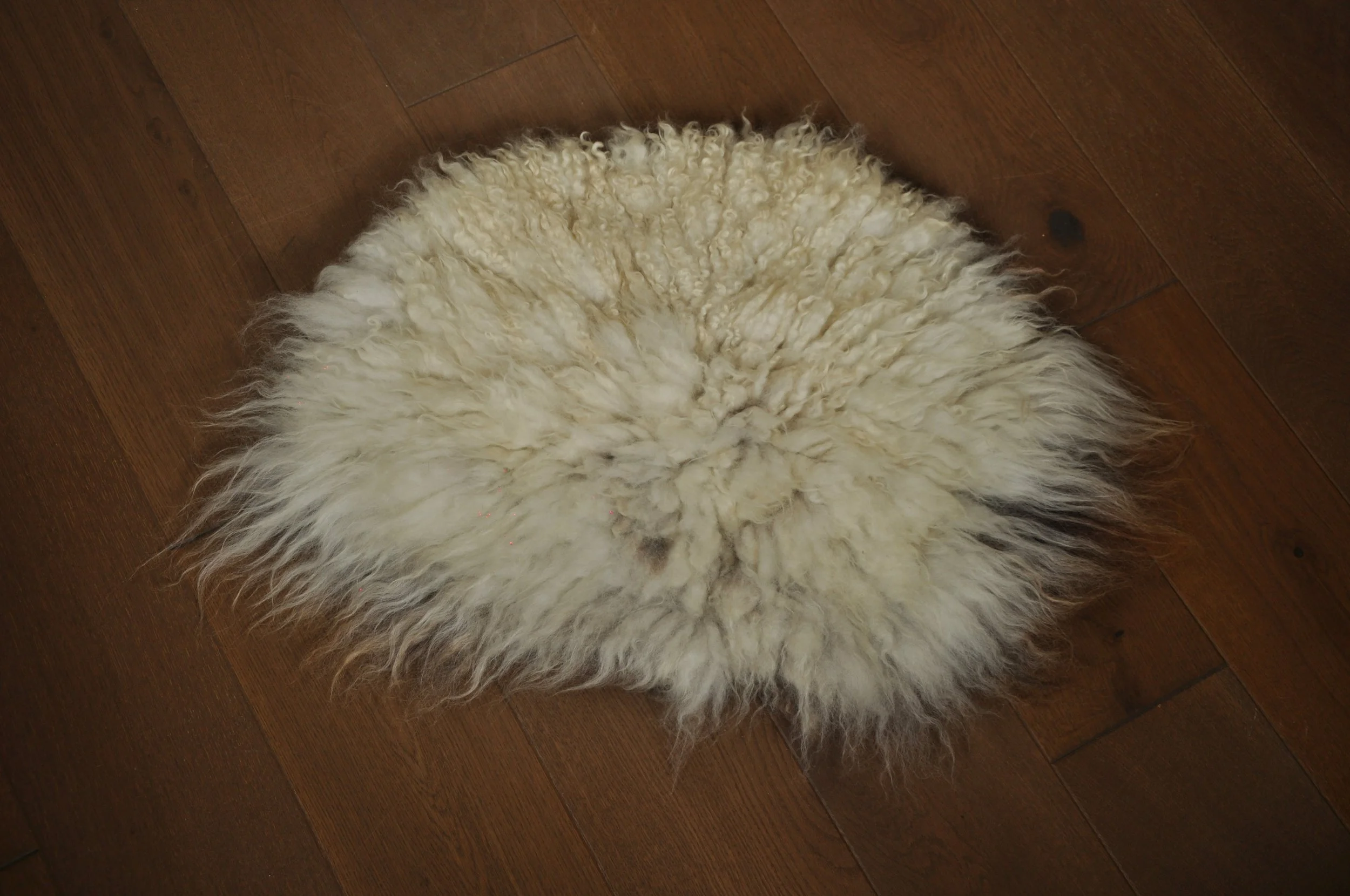 Front of felted seat pad on floor