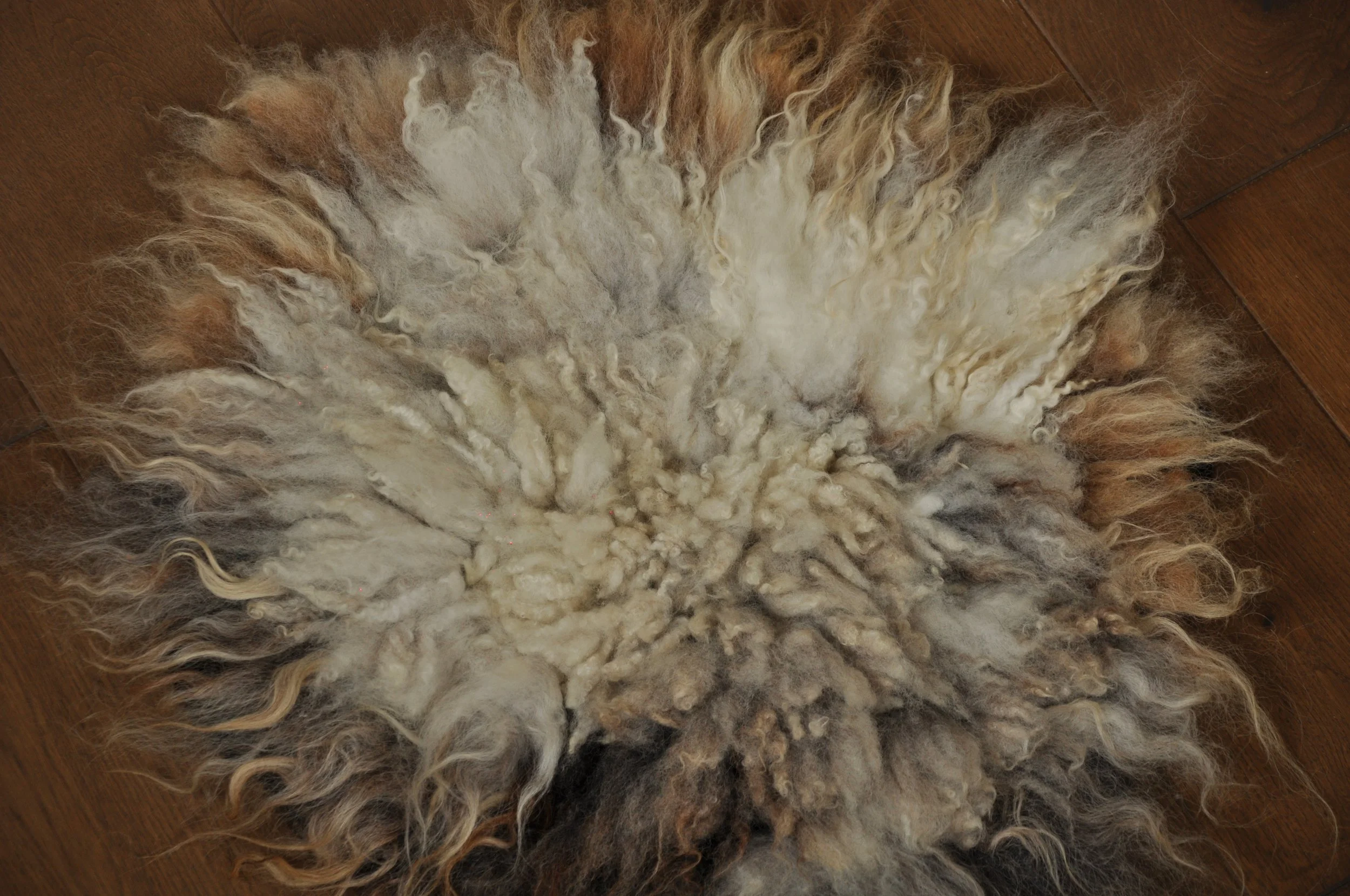 Front of felted seat pad on floor