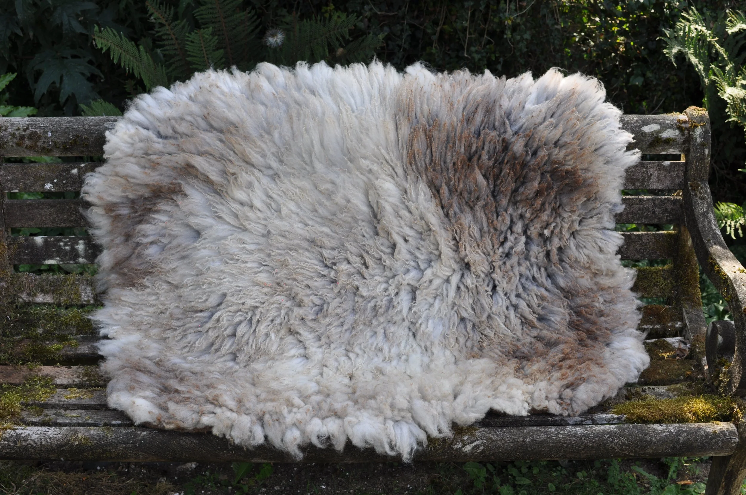 Felted rug on a bench outside