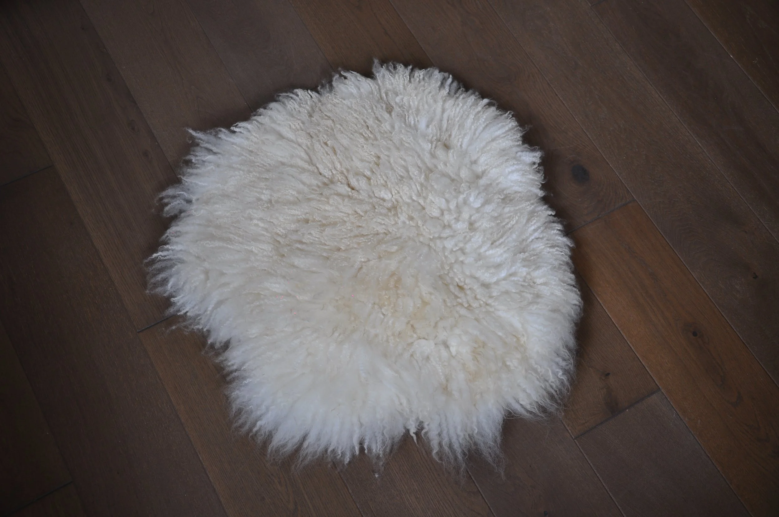 Felted seat Pad on floor