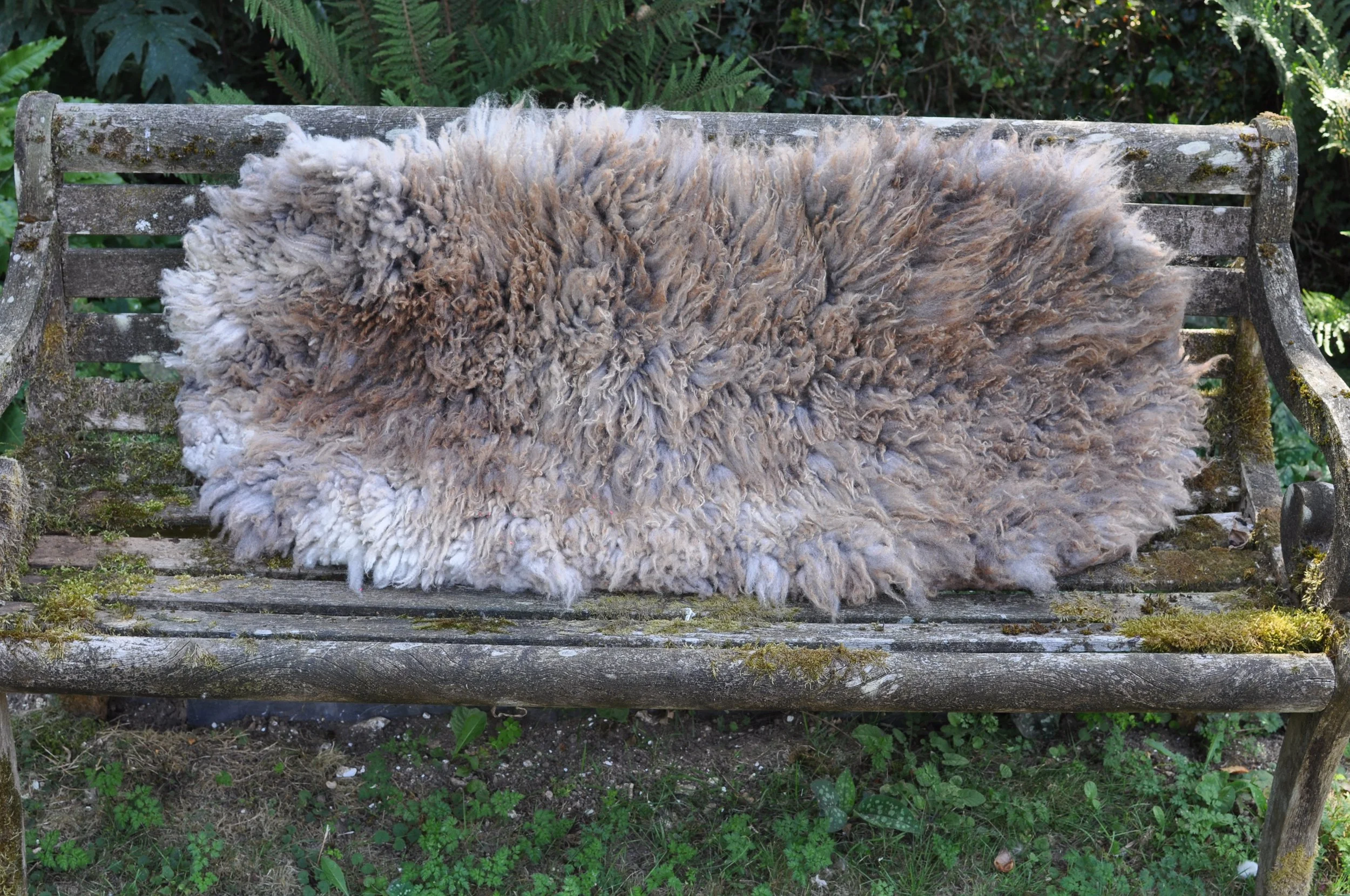 Felted rug on bench outside