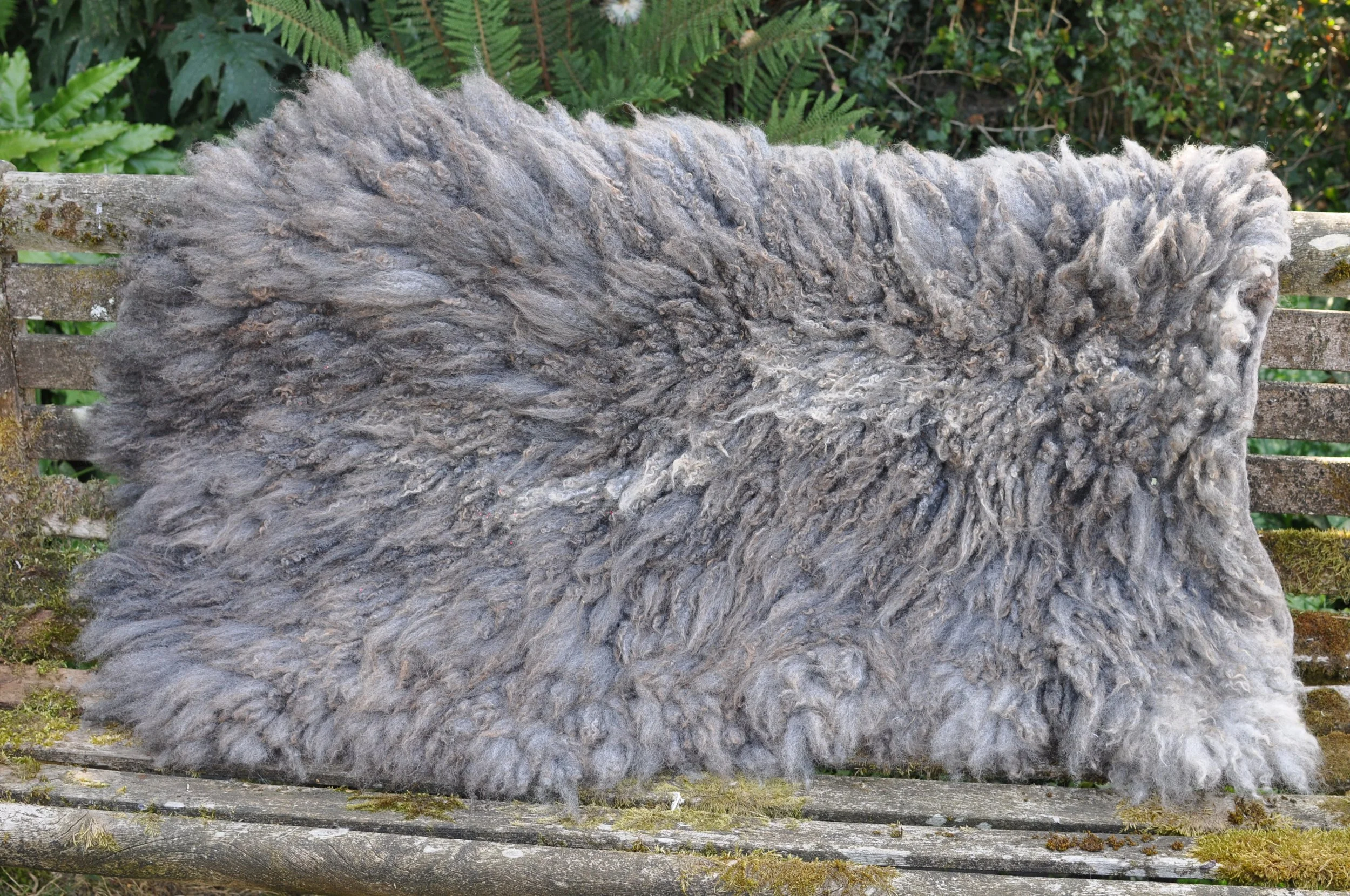 Felted rug on bench outside