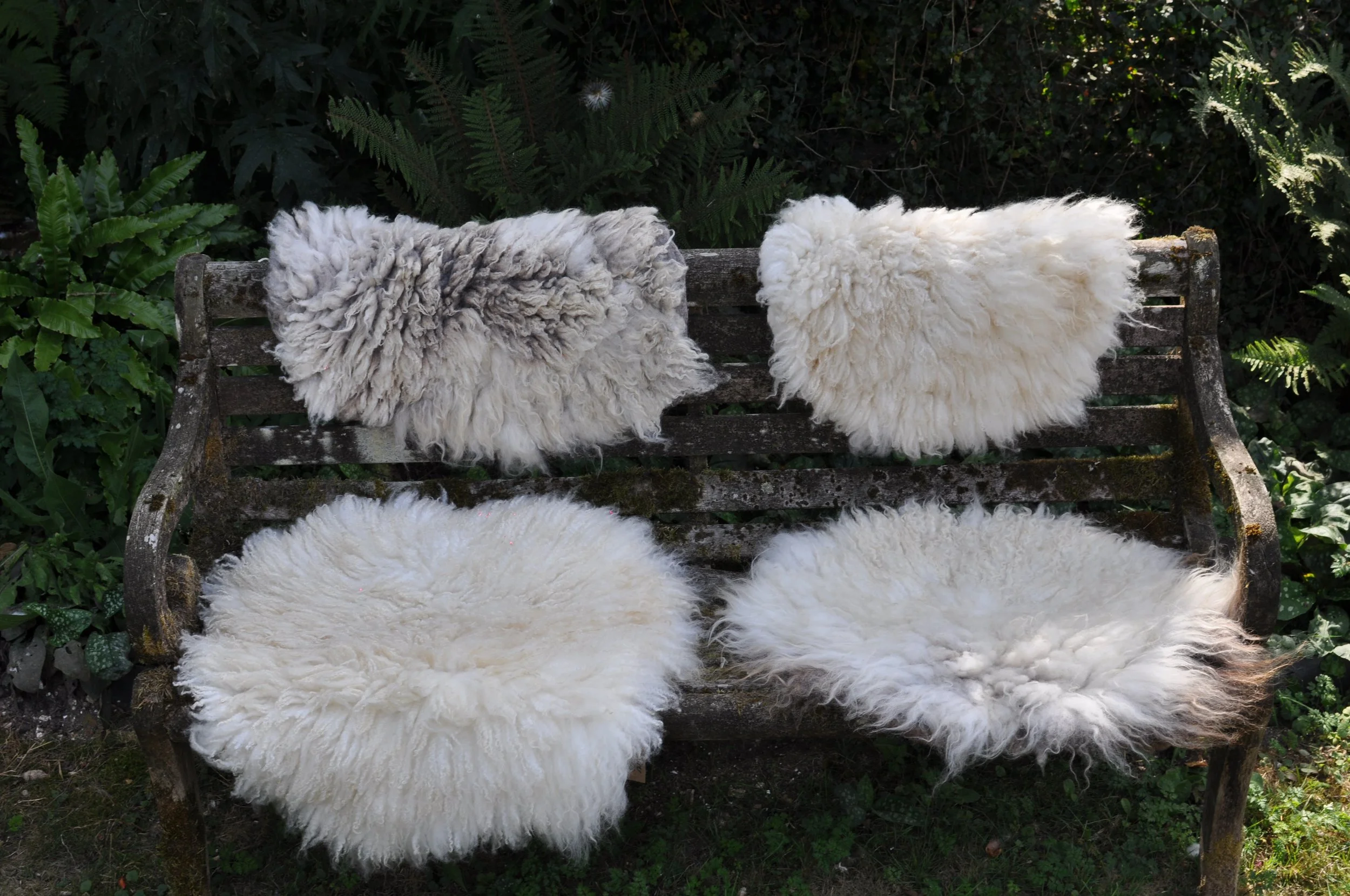 Felted Seat Pads on a wooden bench