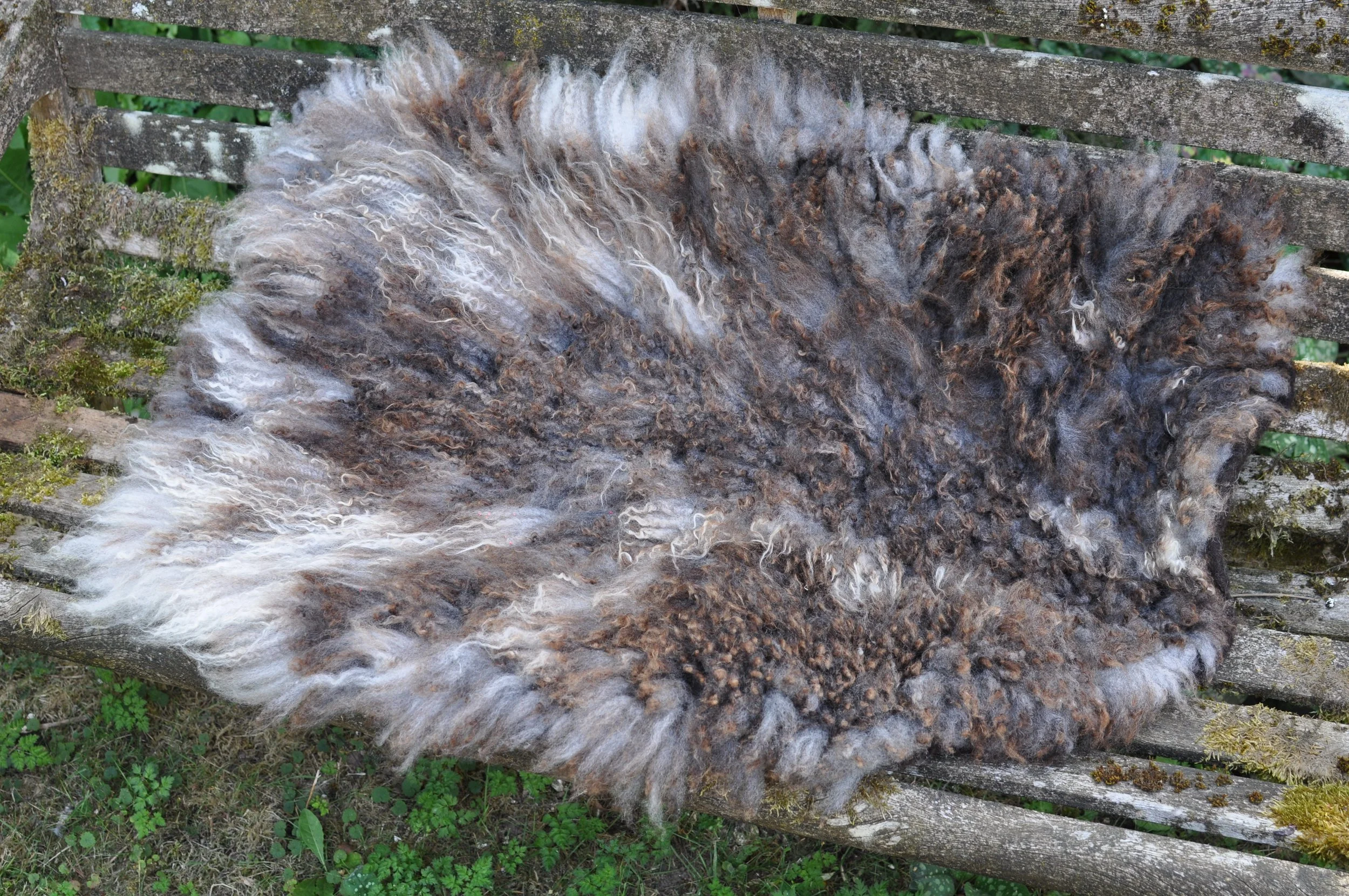 Felted Rug on a bench