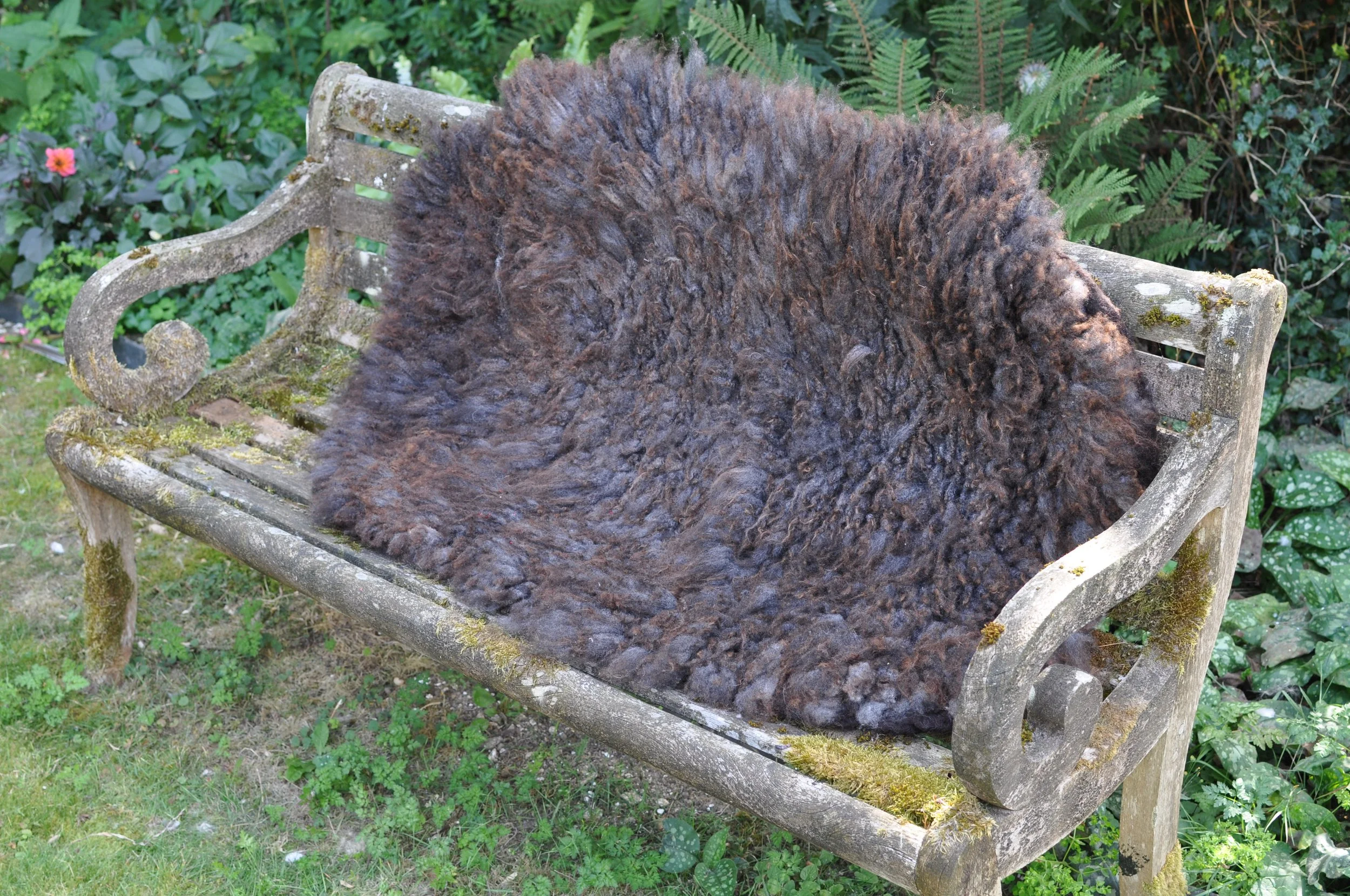 Felted rug on bench outside