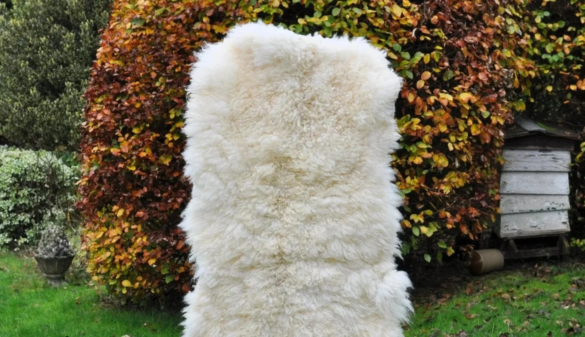Very Large Felted Sheepskin Rug, Being held up by a person with autumnal beach hedge in the background